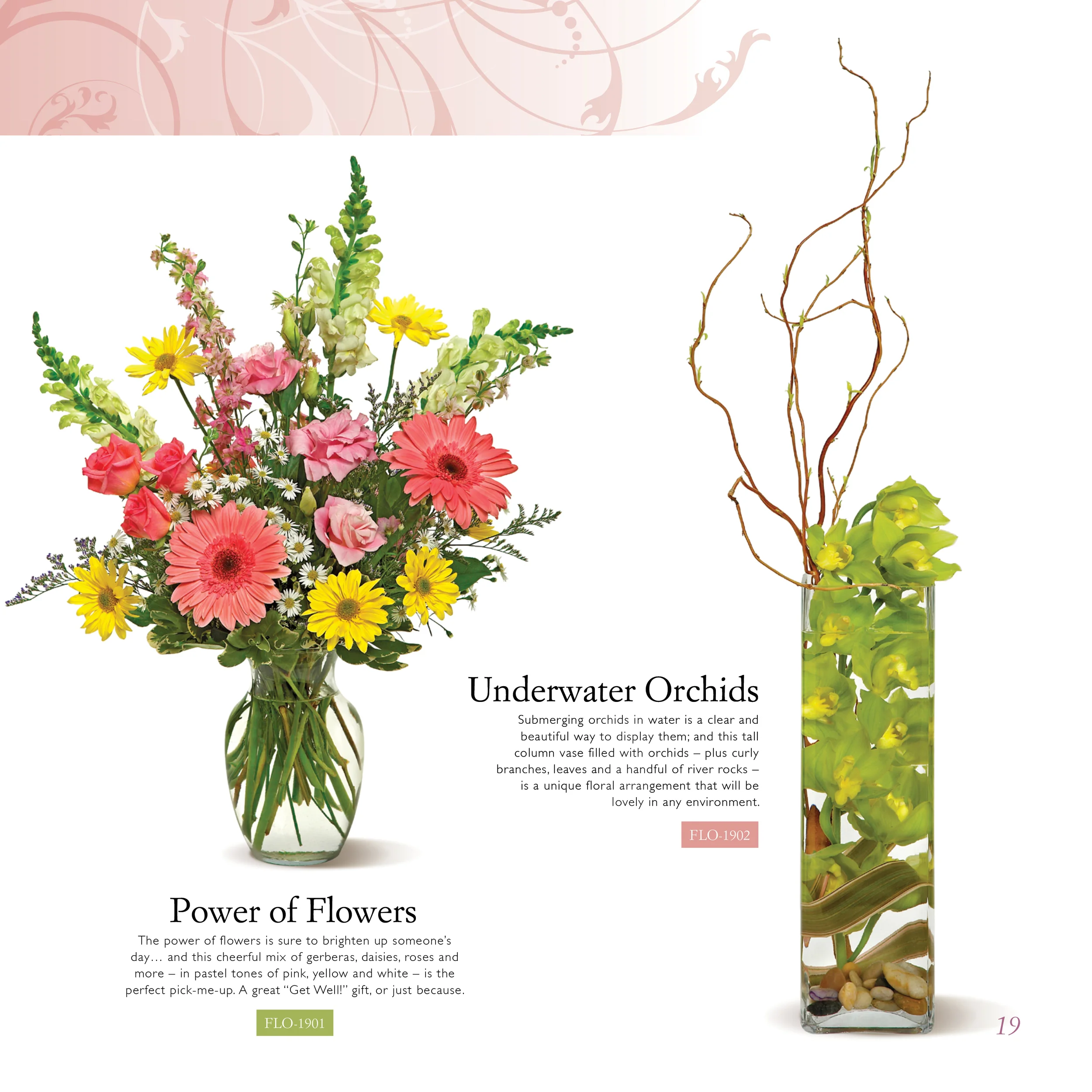 Client : Florica