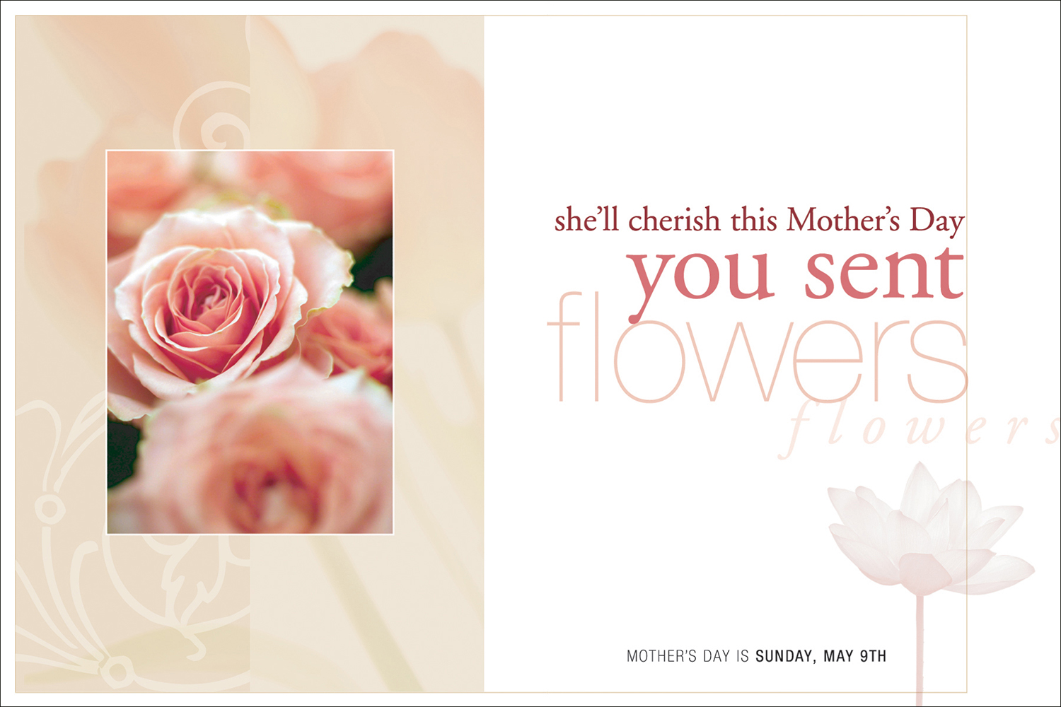 Client : Sunflower Productions, Inc.