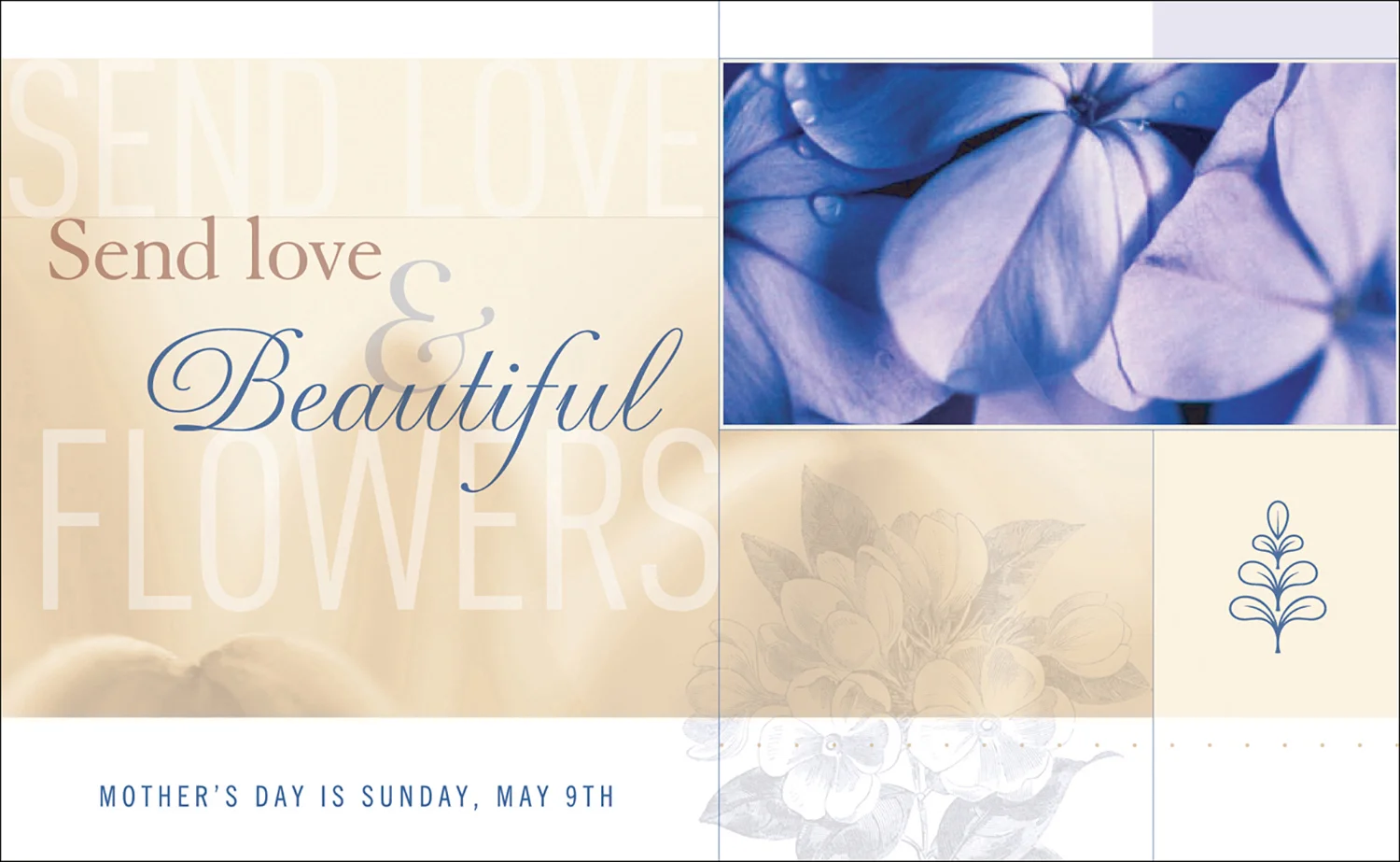 Client : Sunflower Productions, Inc.