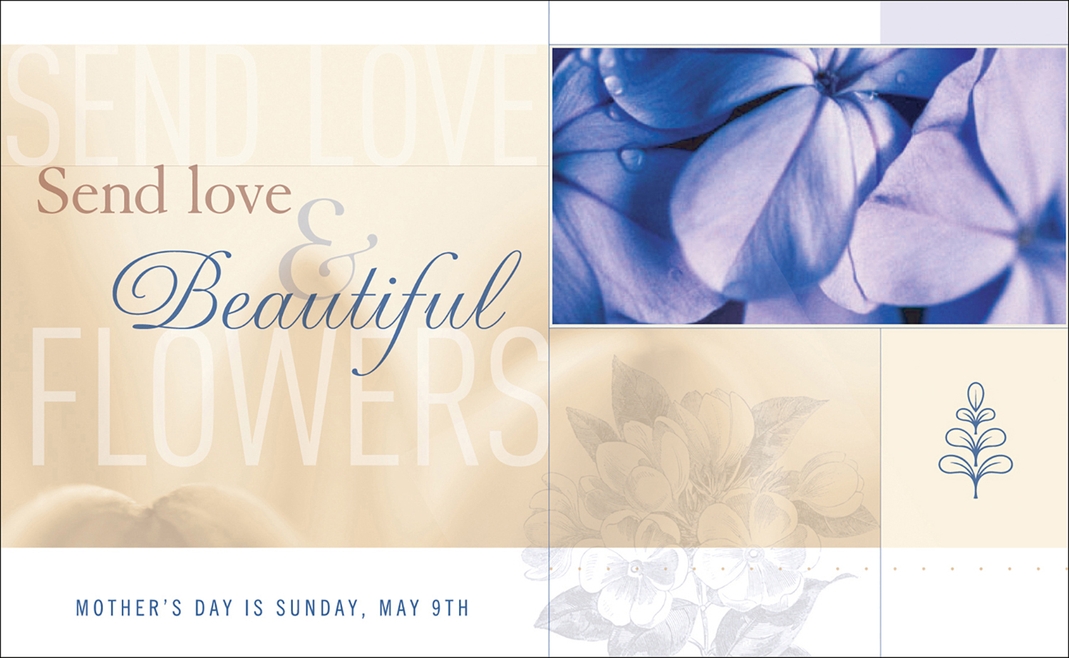 Client : Sunflower Productions, Inc.