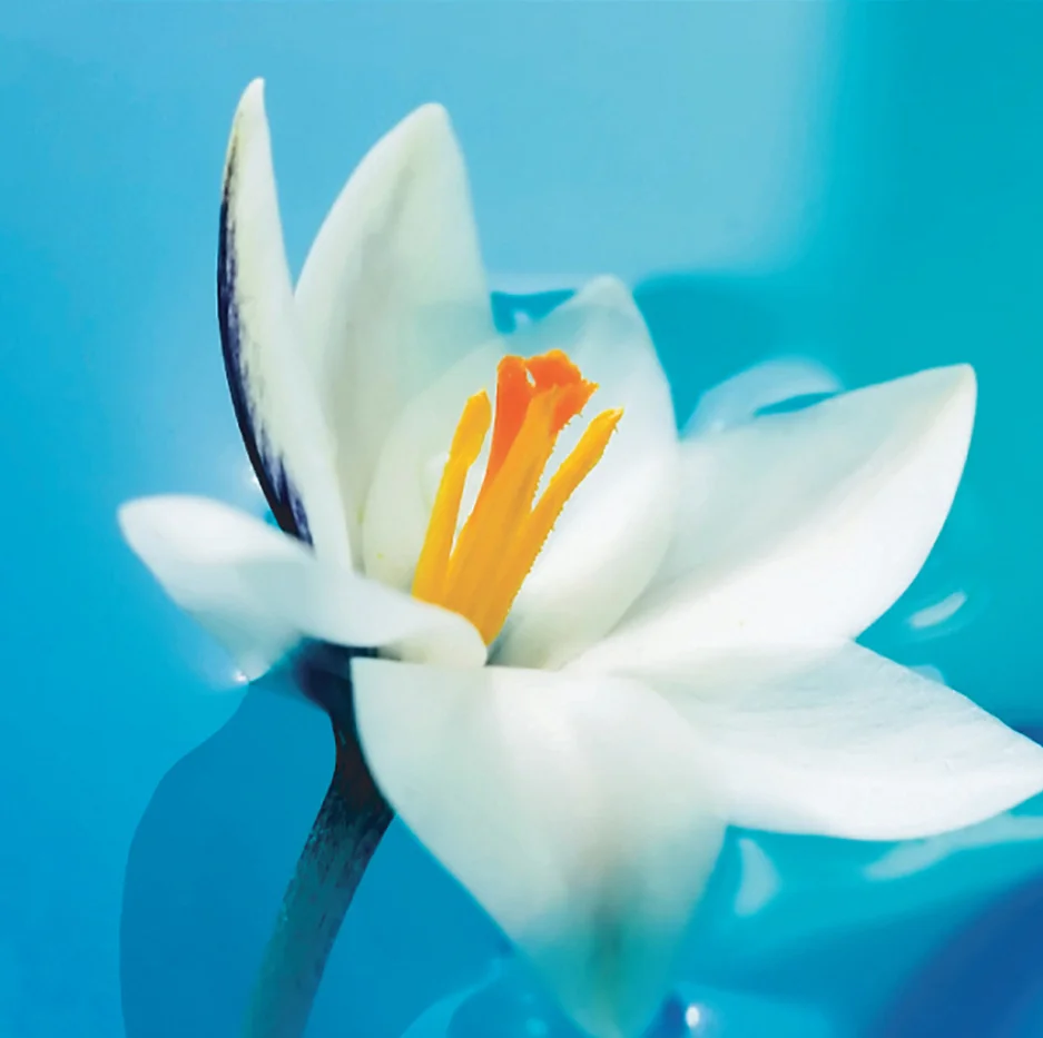 Cards Gallery Image 2_linda_frost_design_linda_frost.jpg