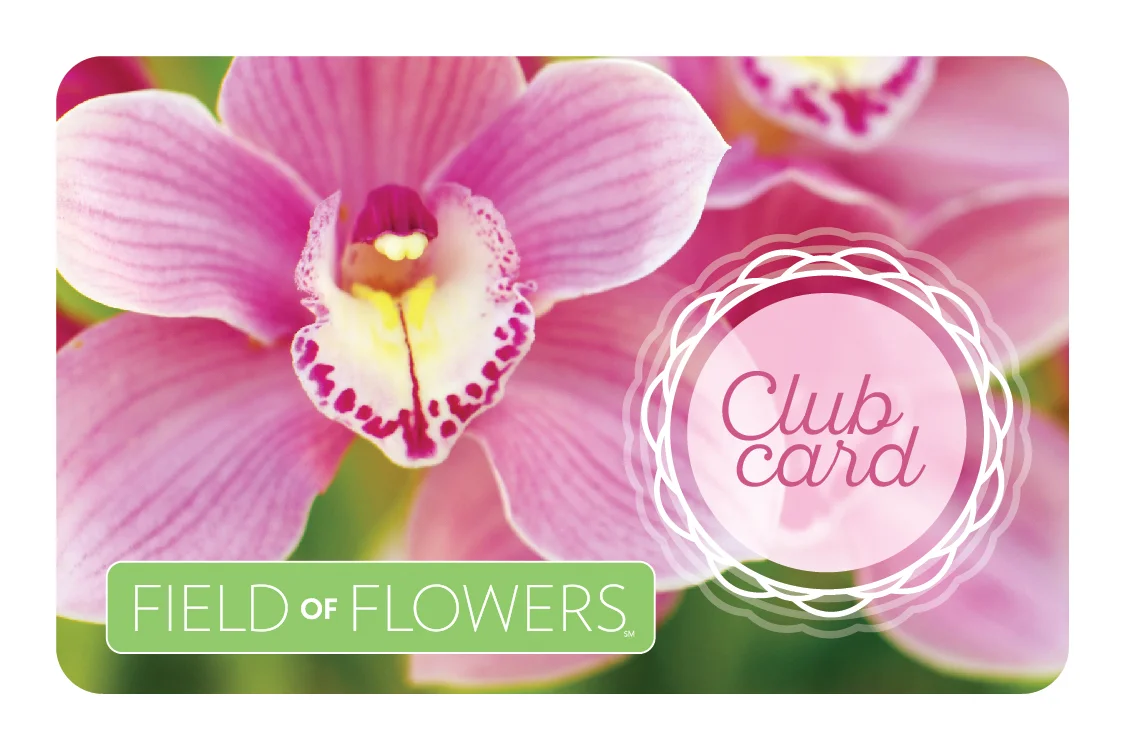 Client : Field of Flowers