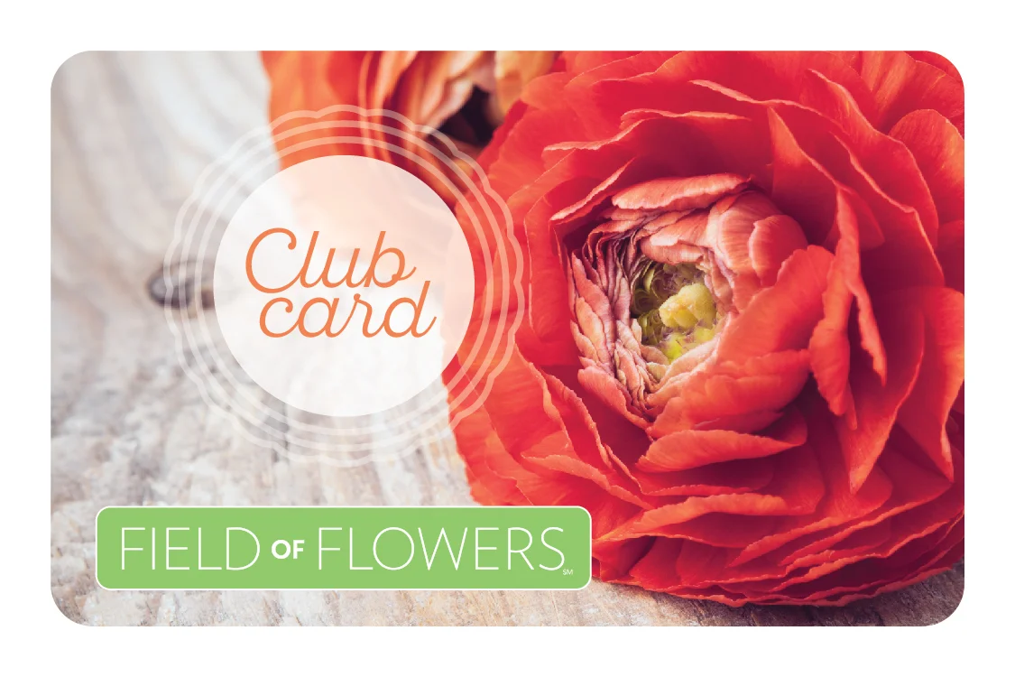 Client : Field of Flowers