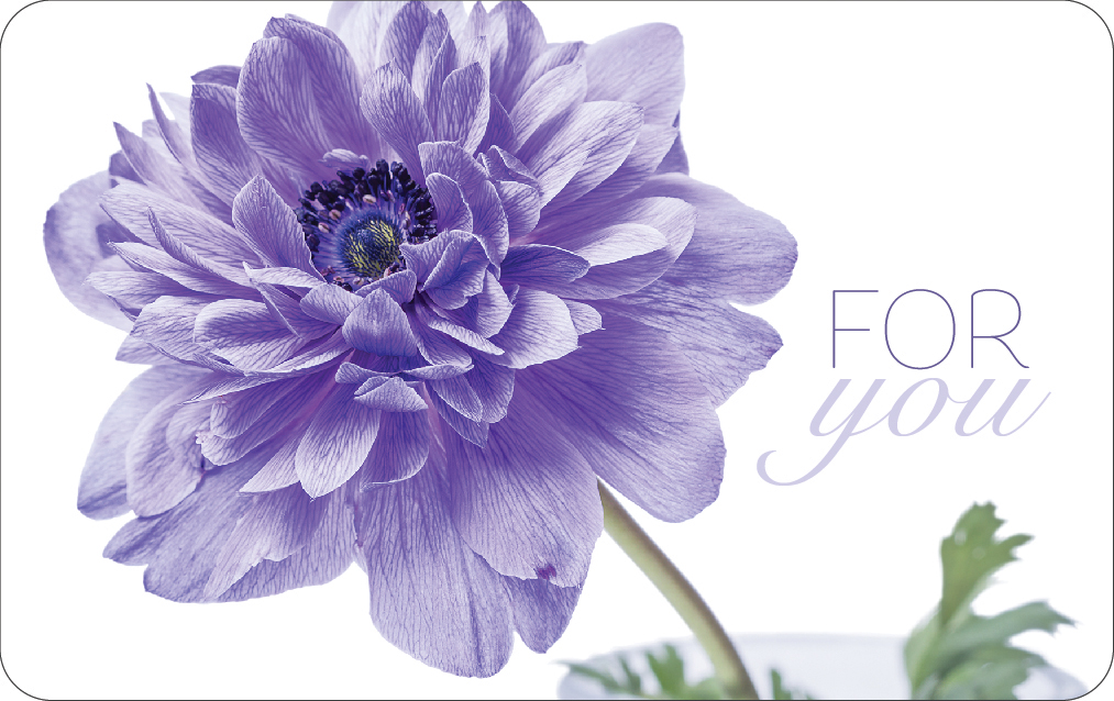 Client : Field of Flowers