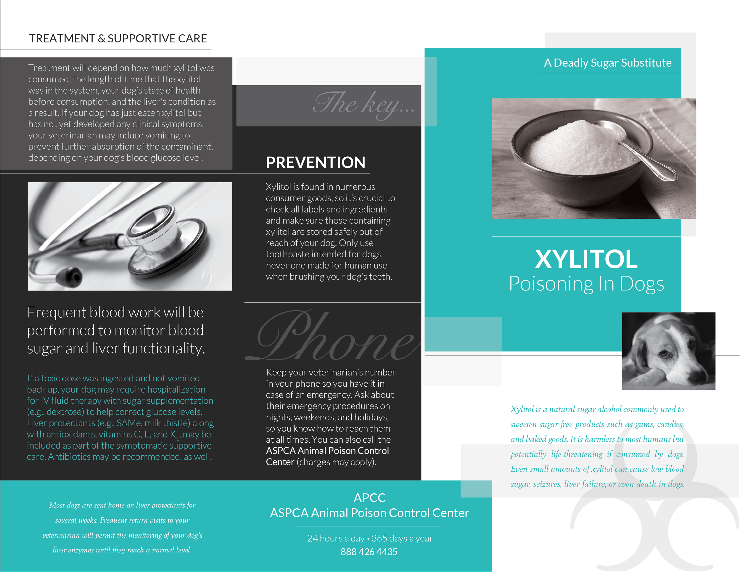  Veterinary Office Information Client Handout  [trifold; outside]  