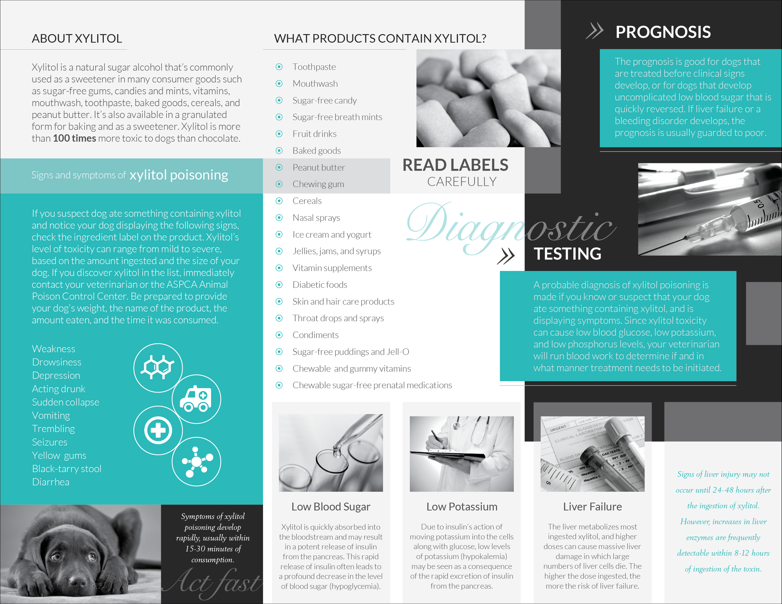  Veterinary Office Information Client Handout  [trifold; inside]  