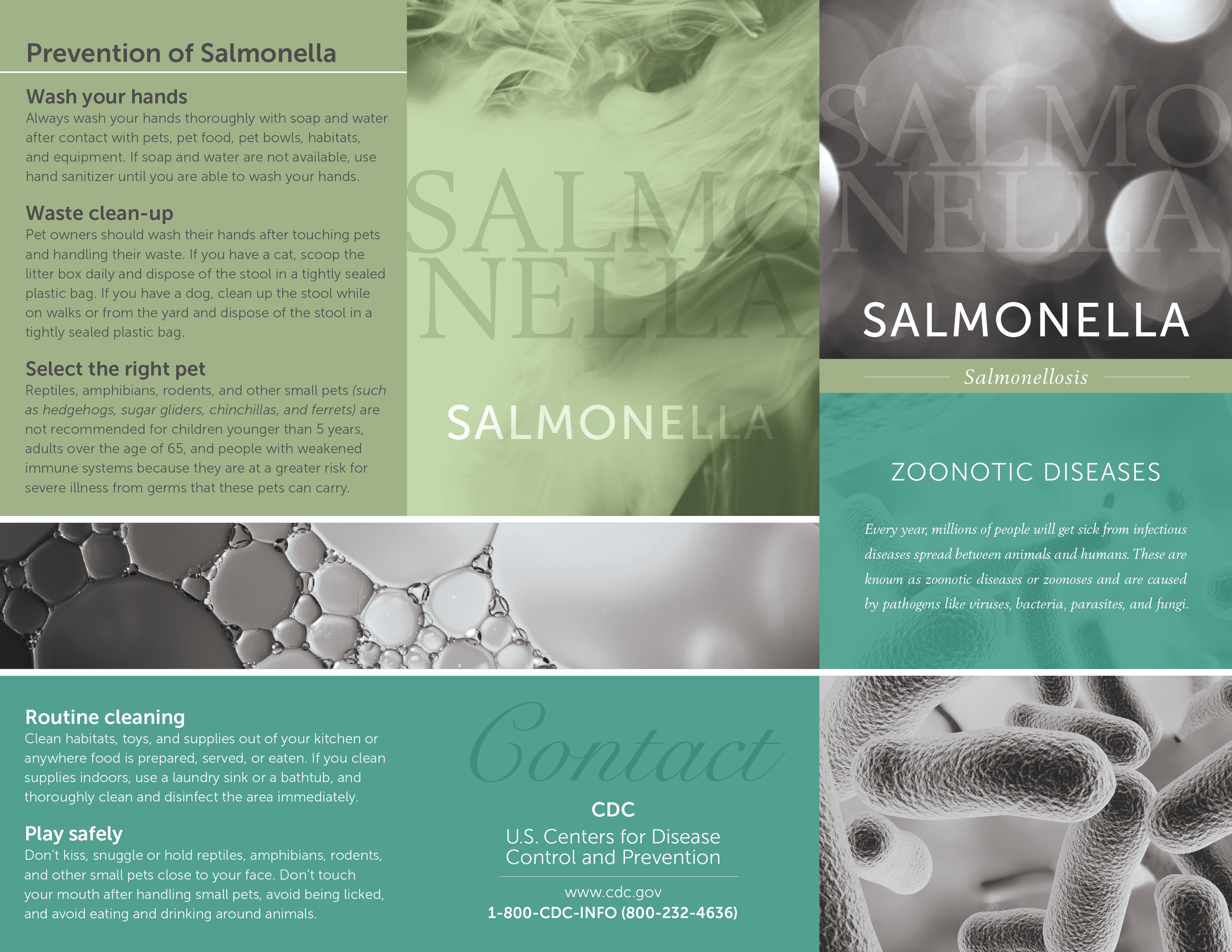  Veterinary Office Information Client Handout  [trifold; outside]  