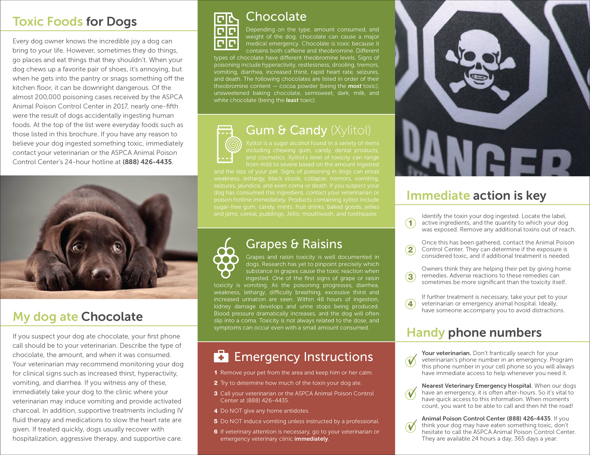  Veterinary Office Information Client Handout  [trifold; inside]  