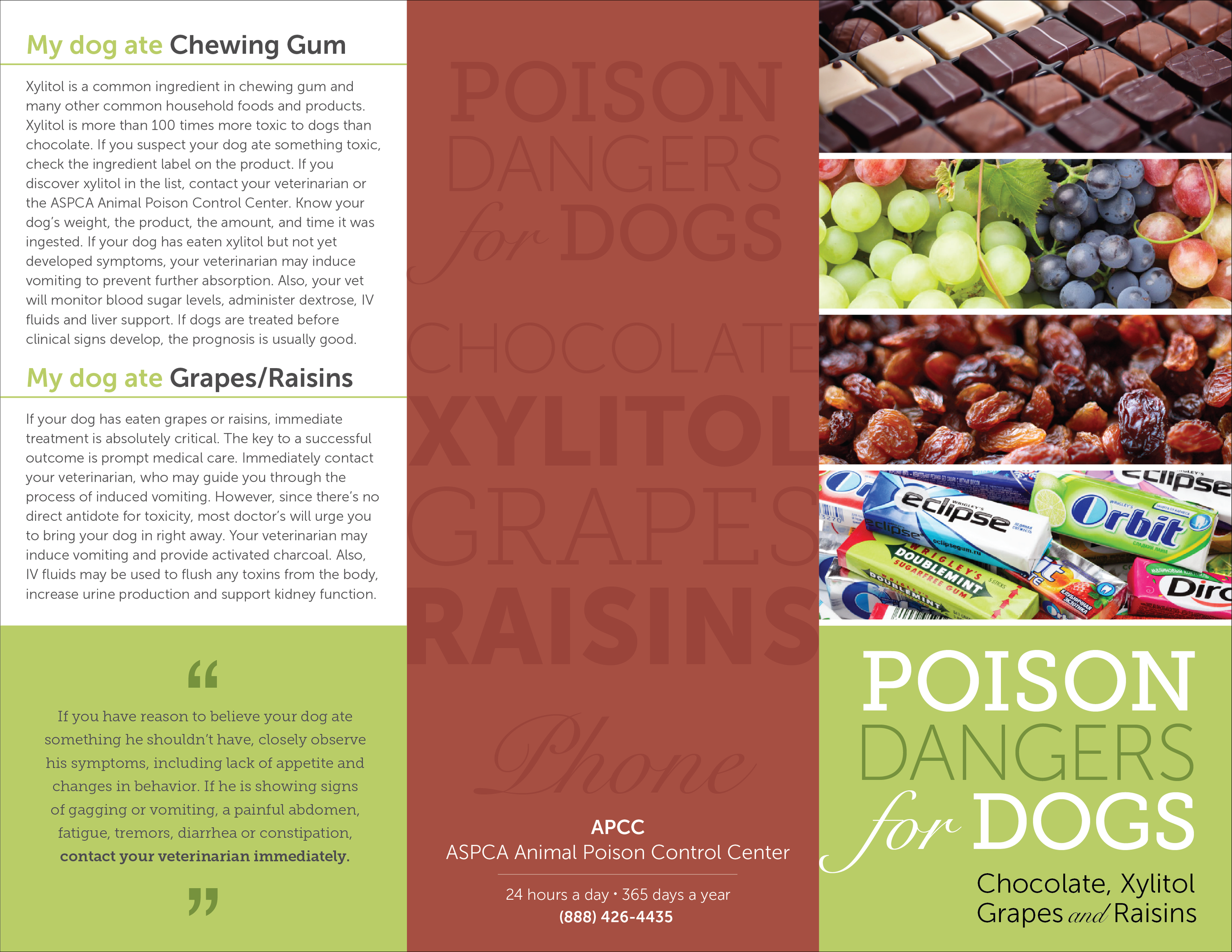  Veterinary Office Information Client Handout  [trifold; outside]  