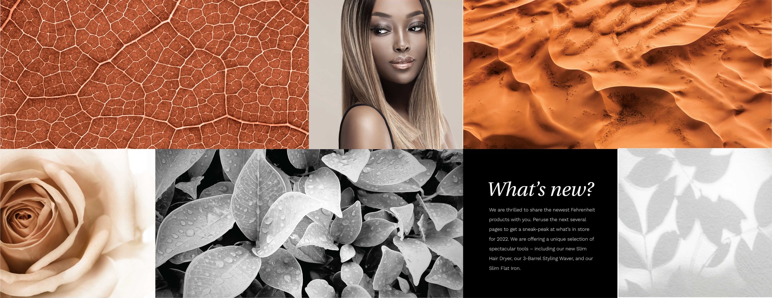 2022 Buyer Presentation - Fahrenheit "What's New?" Spread Design
