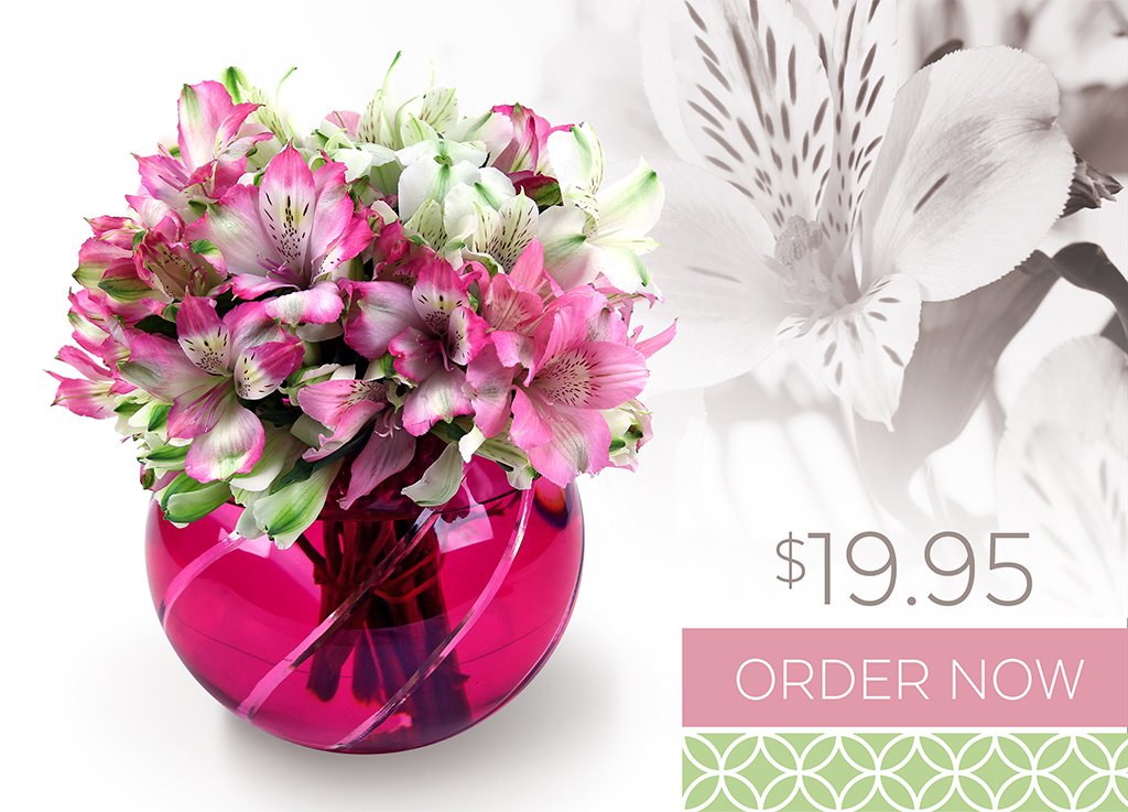 ADAlstroemeria-Email-Broadcast-image.jpg