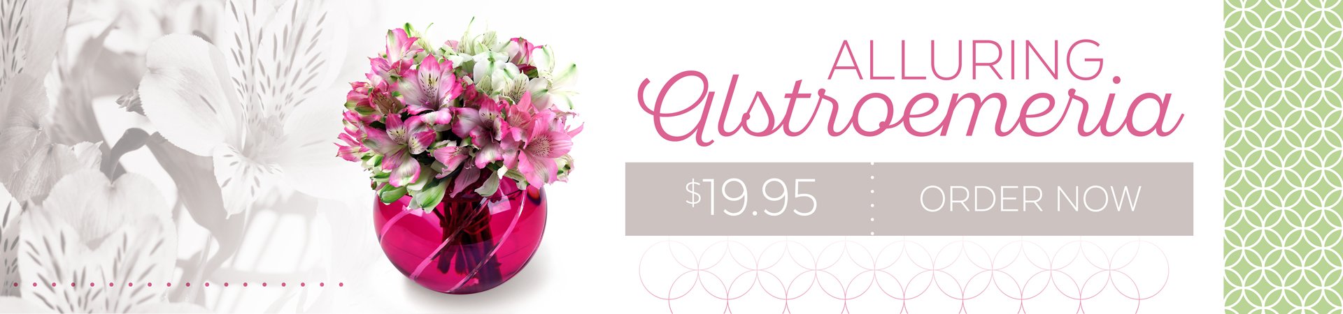 BANAlluring-Alstroemeria-Banner.jpg