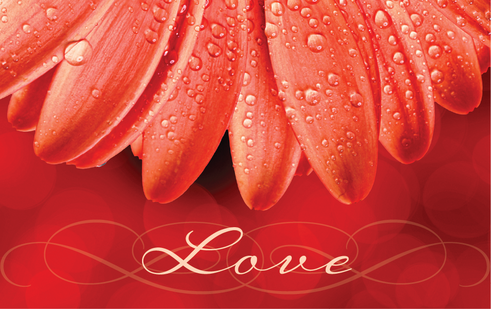 FOF Gift Card Designs-01.png