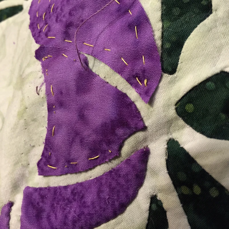 pic 6.