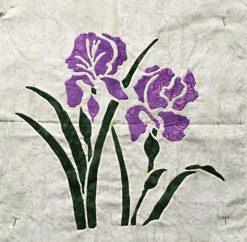 Iris,9 of 9 . (16" x 16")
