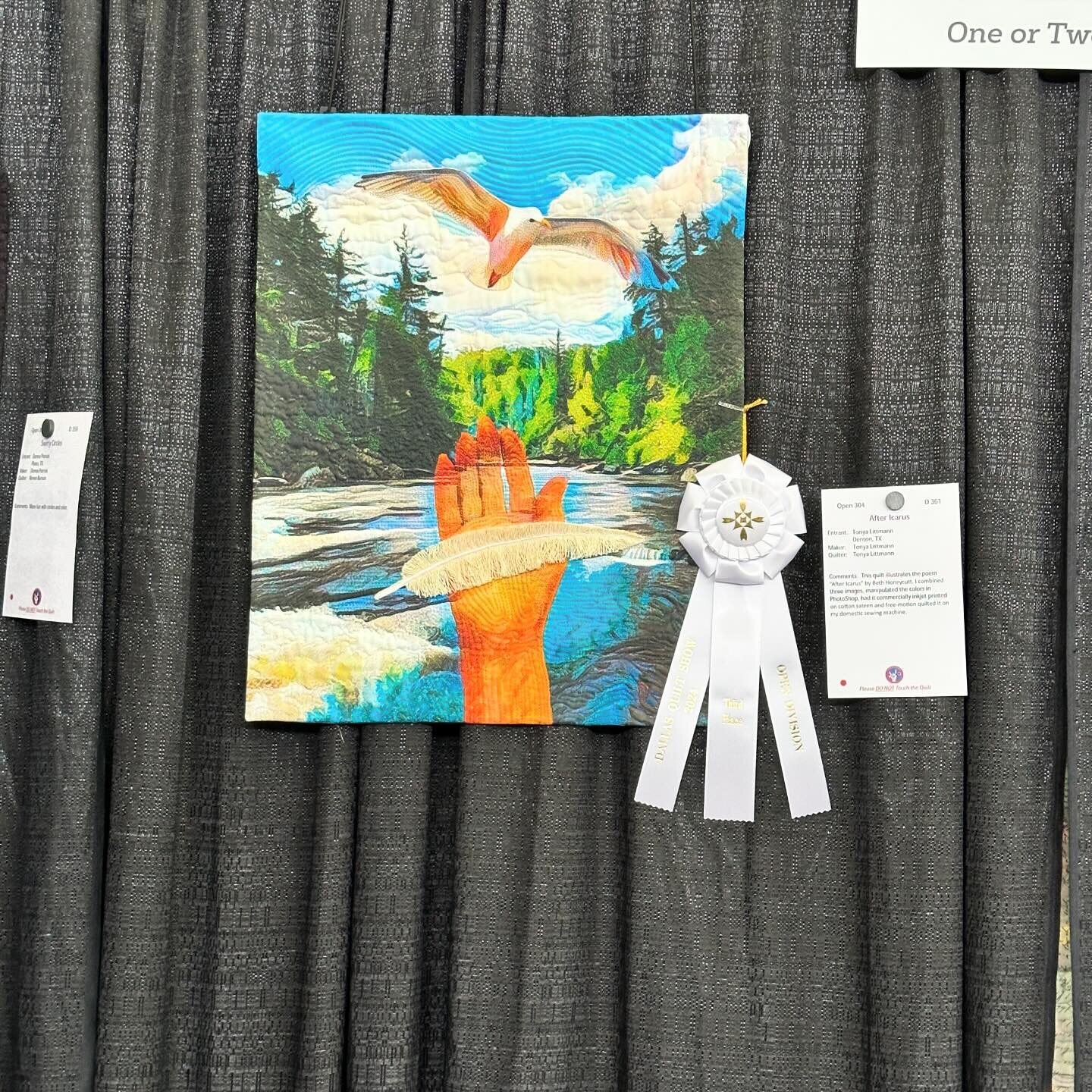 Download #7 of 1st, 2nd, &amp; 3rd place ribboned competition quilts from @quiltersguildofdallas #dallasquiltshow . Tags included so you can zoom in to see information. However most are blurry, so I invite the quilt makers to claim their quilt, 1-10,