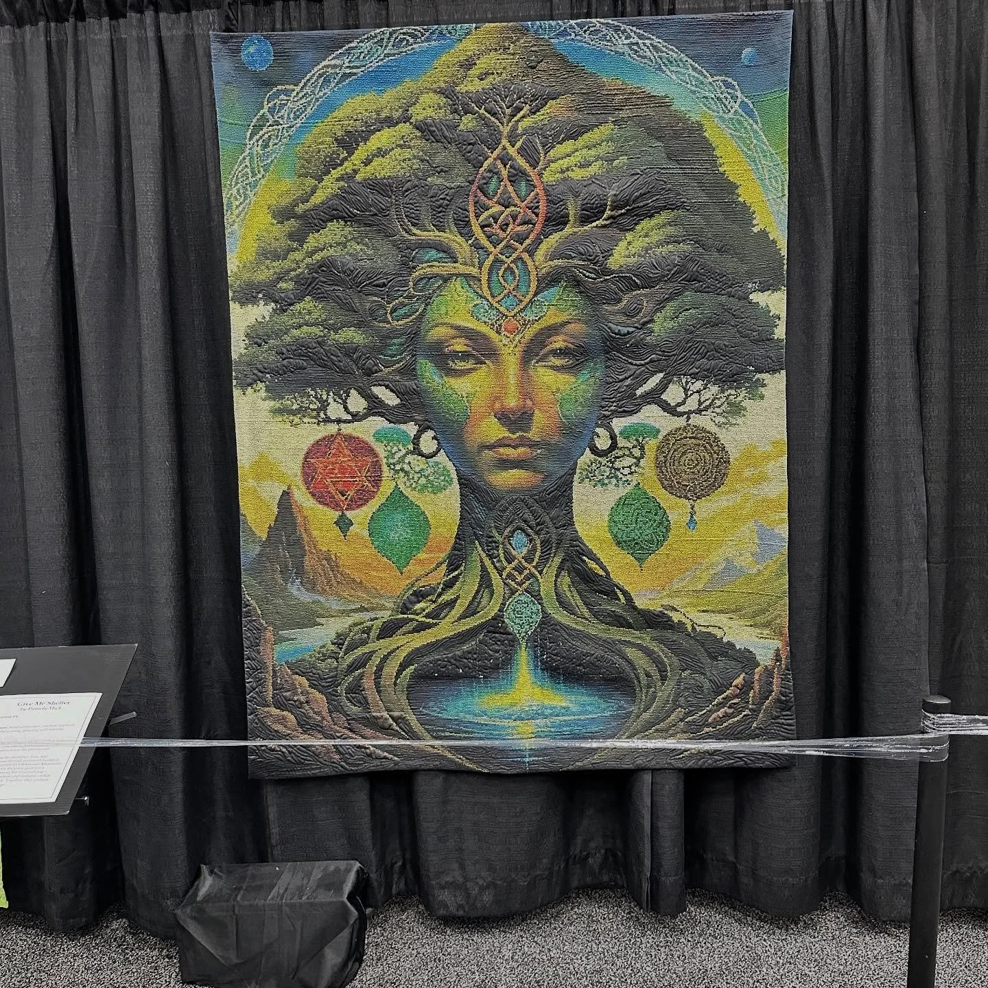 Post 4: Exhibition and competition quilts at @quiltfestival . Pics followed by information. #quiltfestivalhouston #quiltfestival #quiltshow #eyeofthebeholderquiltdesign #quiltinspiration #quiltingisacreativeactofhope #happyquilting
