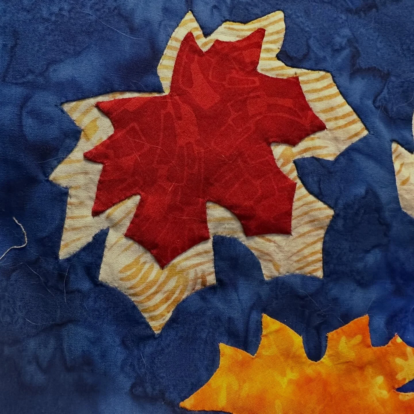 Leaf by leaf, block by block, border by border, AUTUMN WINDOW top is done. Backing, sleeve and binding are ready. The batting needs to rest the wrinkles out. Layer tomorrow. Project for AQS SEAM Quilt Cruise-CANADA &amp; NEW ENGLAND, September 18-25,