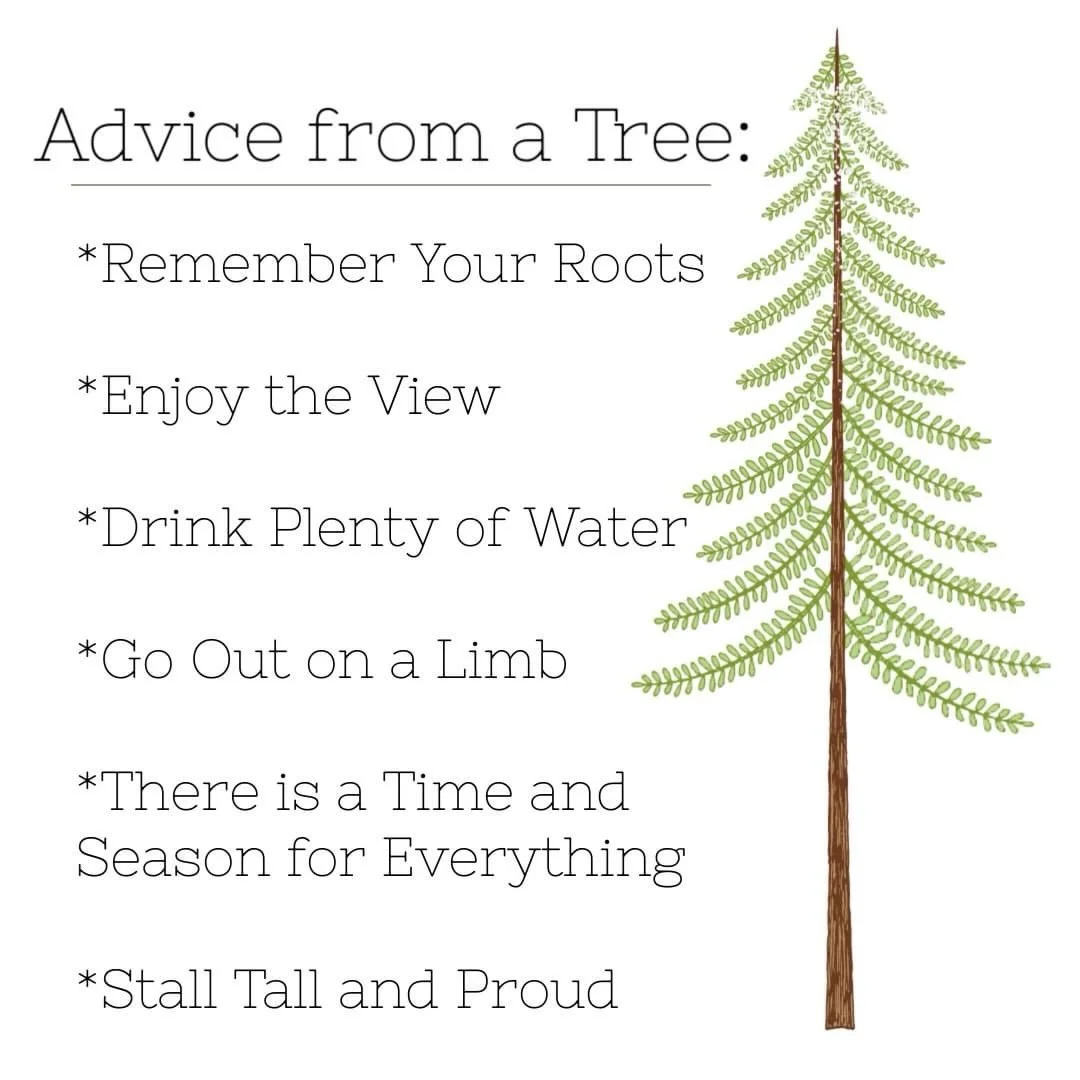 Happy Earth day! April 22. Happy Arbor Day! April 24! 🌲Plant a tree! 🌳 Quilt a tree or Bending Boughs! 🪾🌳🌲#arborday #earthday #quiltedtrees #eyeofthebeholderquiltdesign #reverseapplique