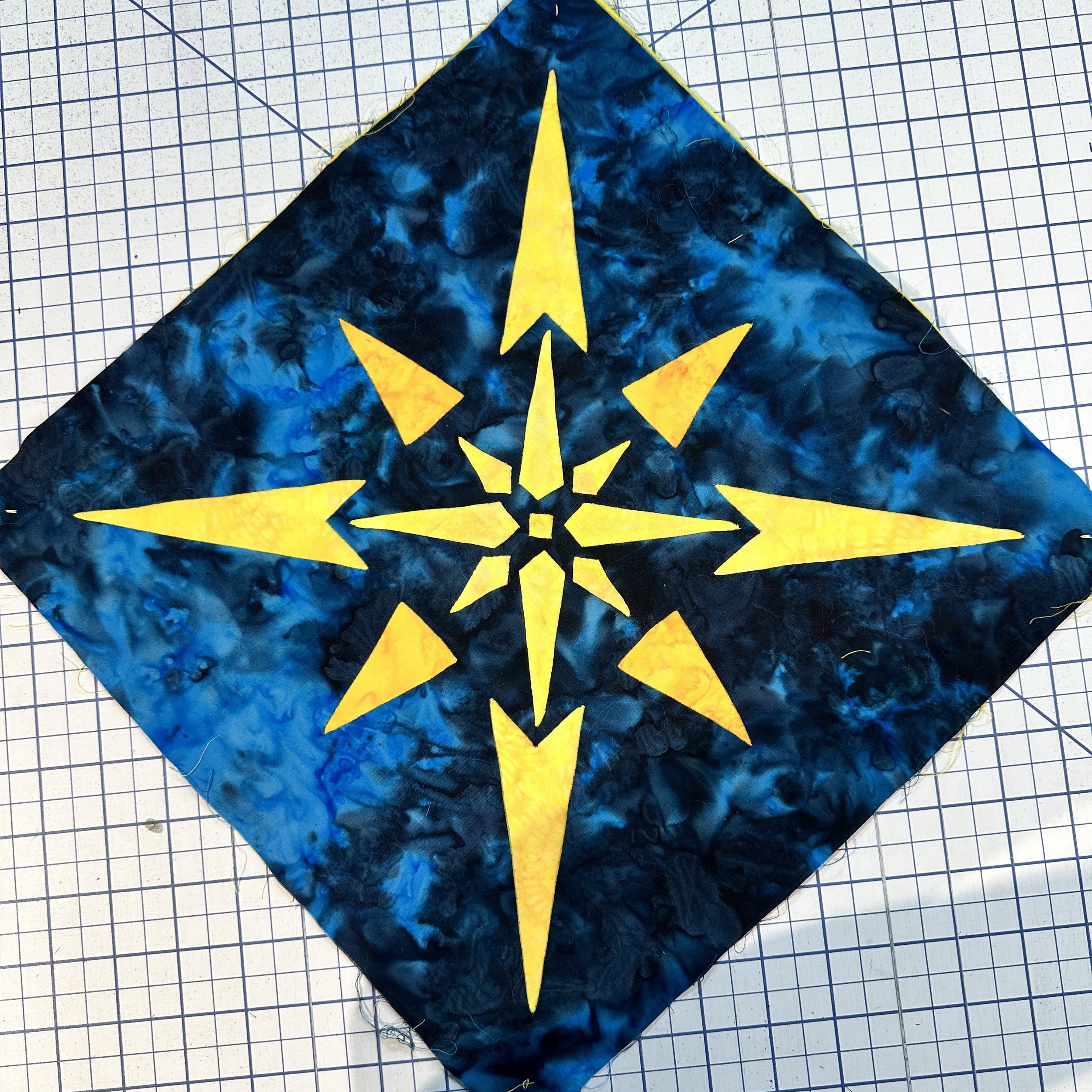 TB23WL_star in a star-on pointe.jpg