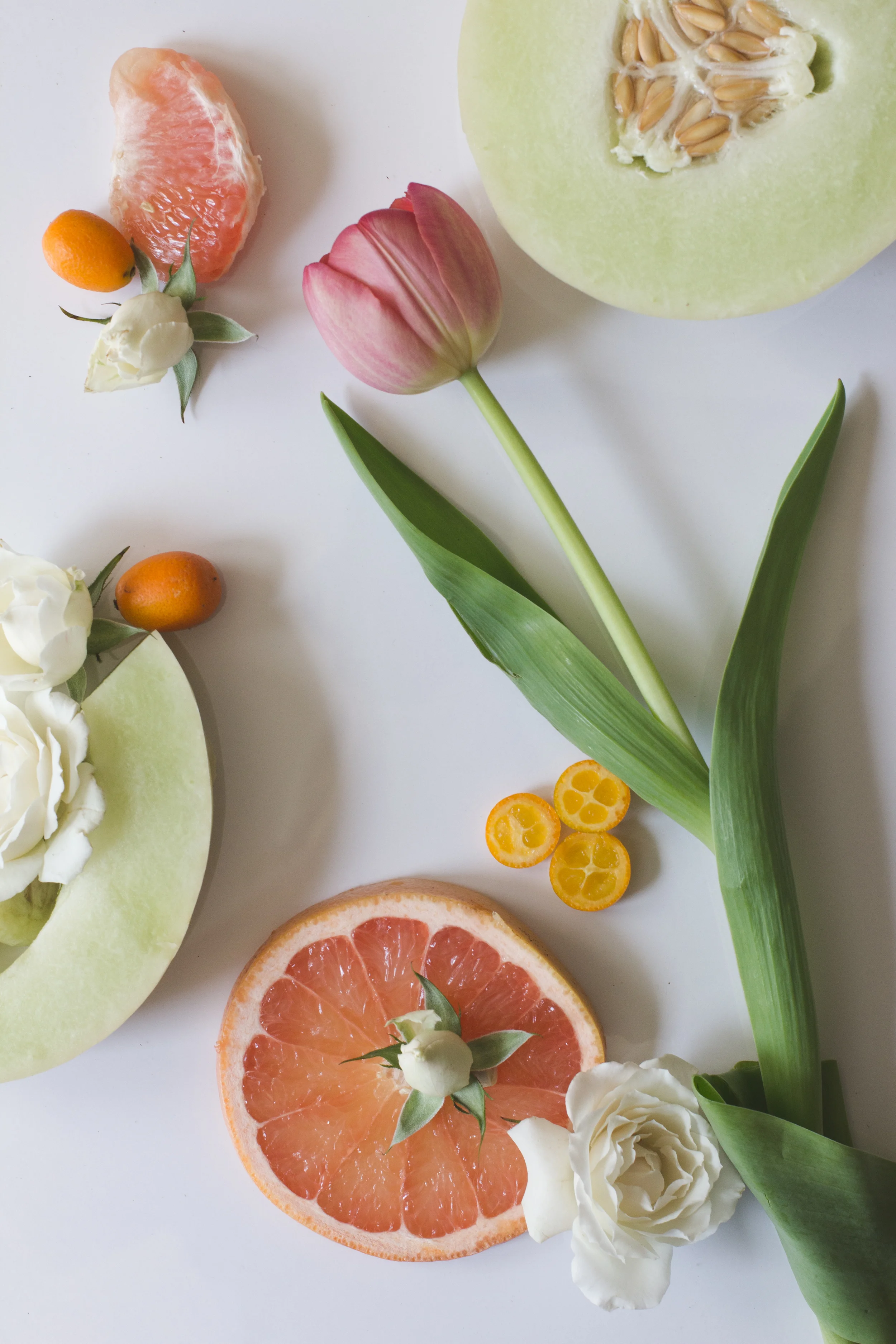 140326_springfruit_057.jpg