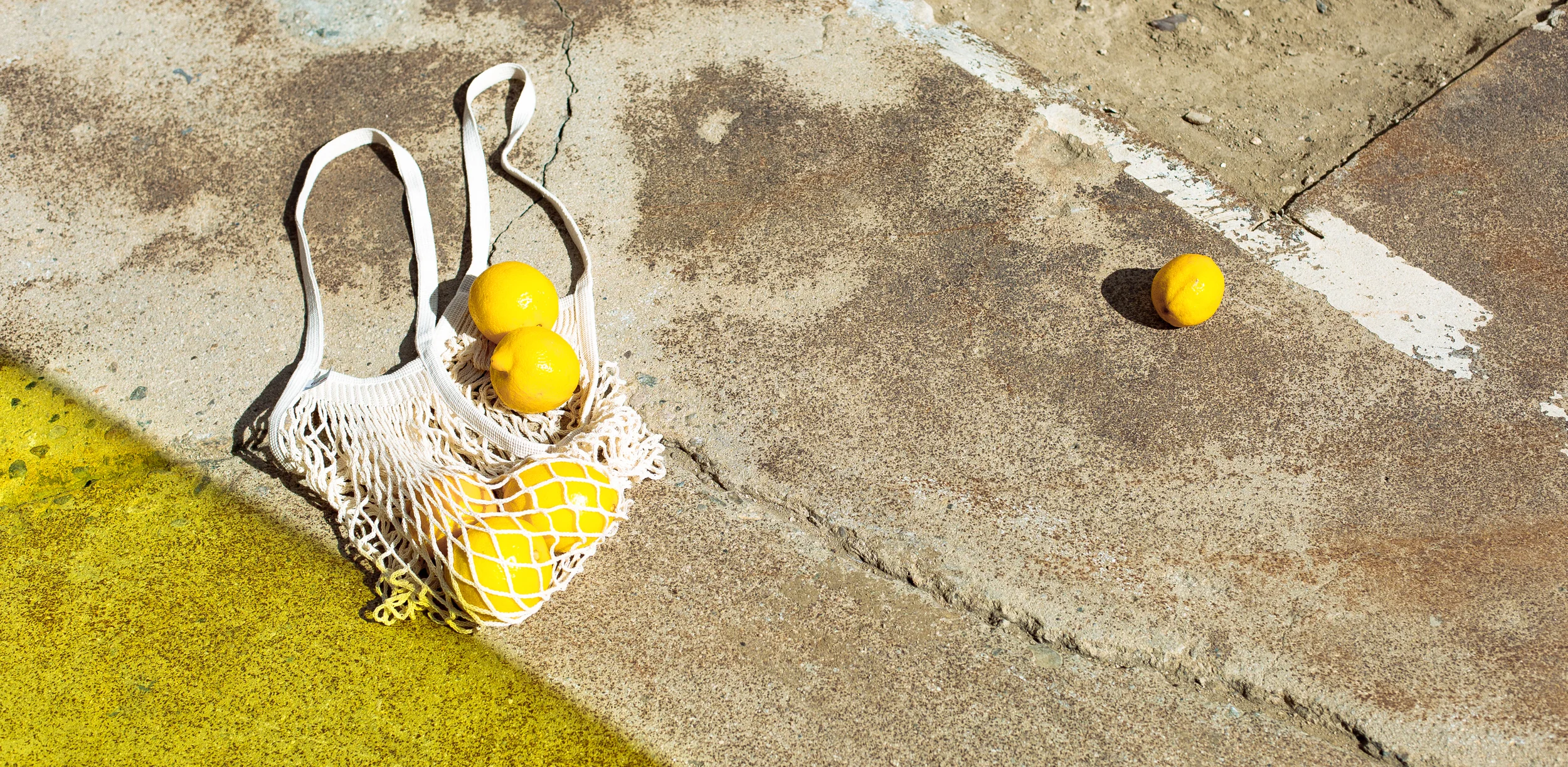 french-market-bag-promo-16_banner.jpg