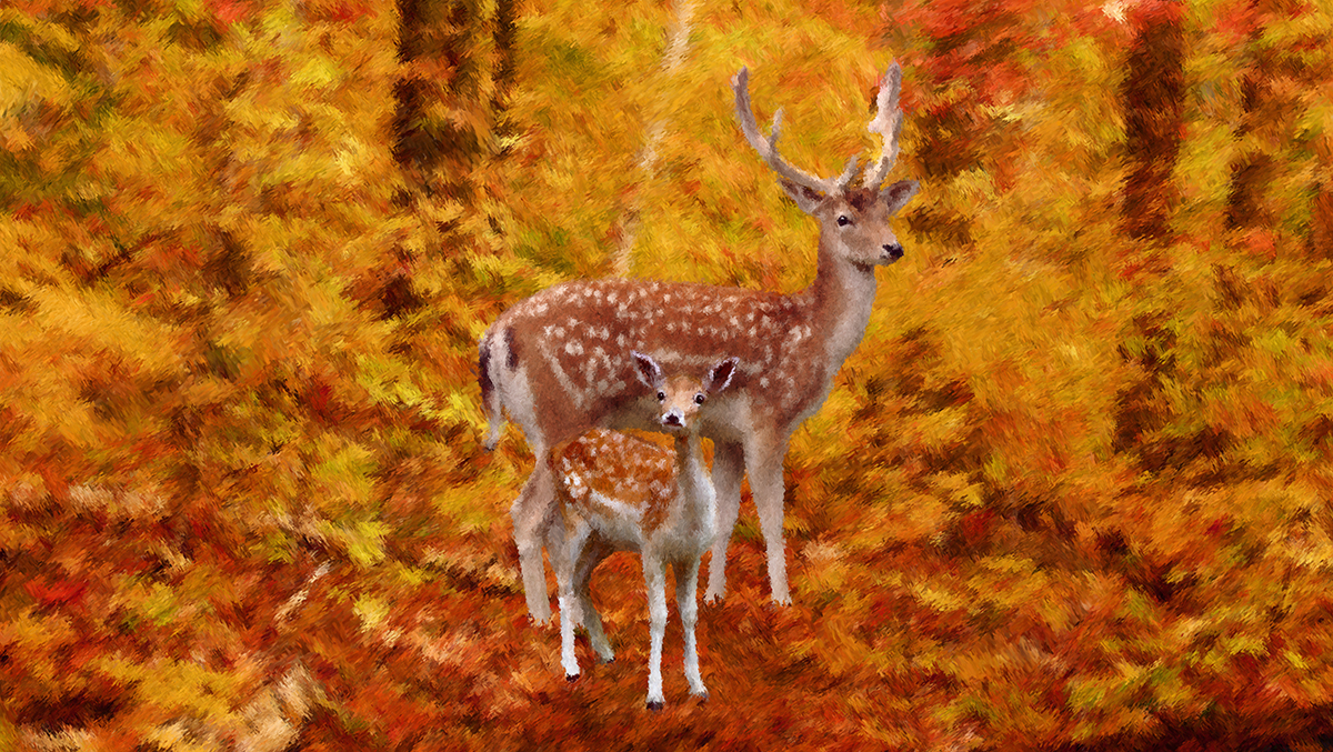 FallowDeerFamily9_Web.jpg