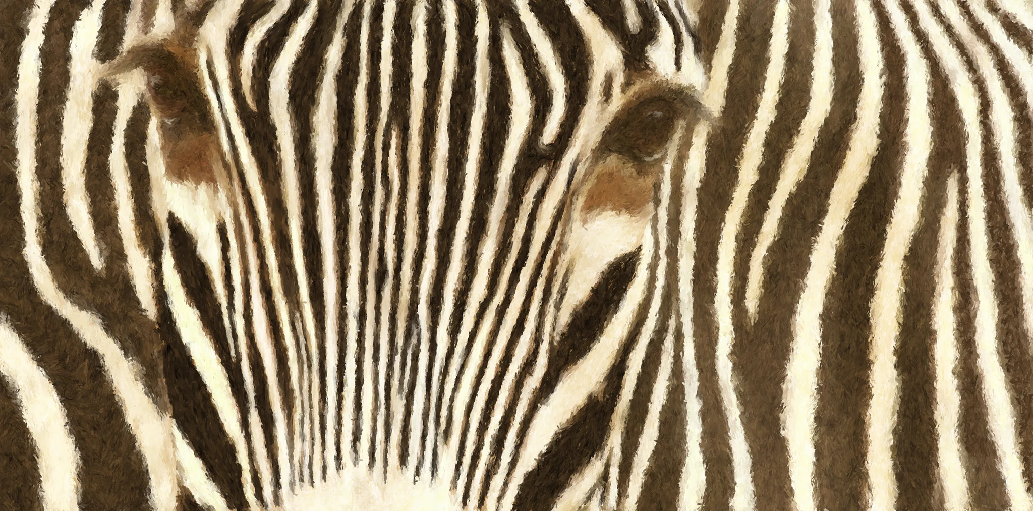 Zebra_Closeup Reworked13_ipad.jpg
