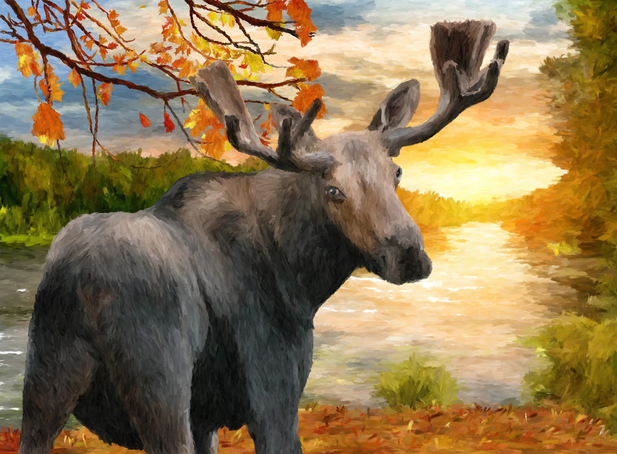 Moose_at_Sunset_ipad.jpg