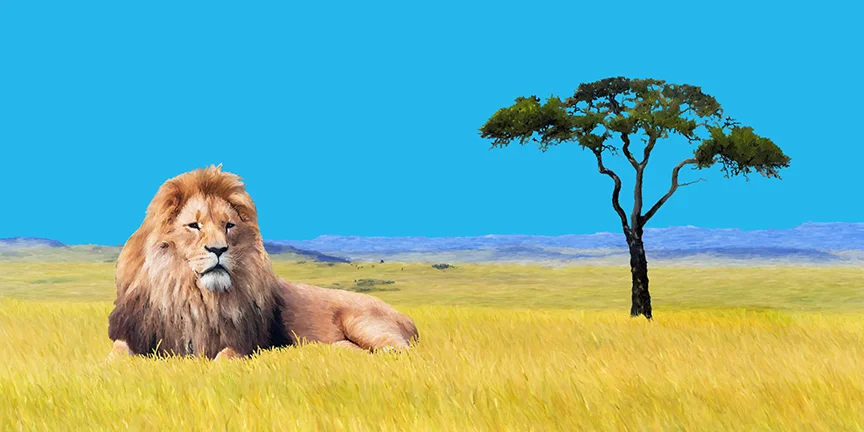 LionOnSavannah_Seven_B)iPad.jpg