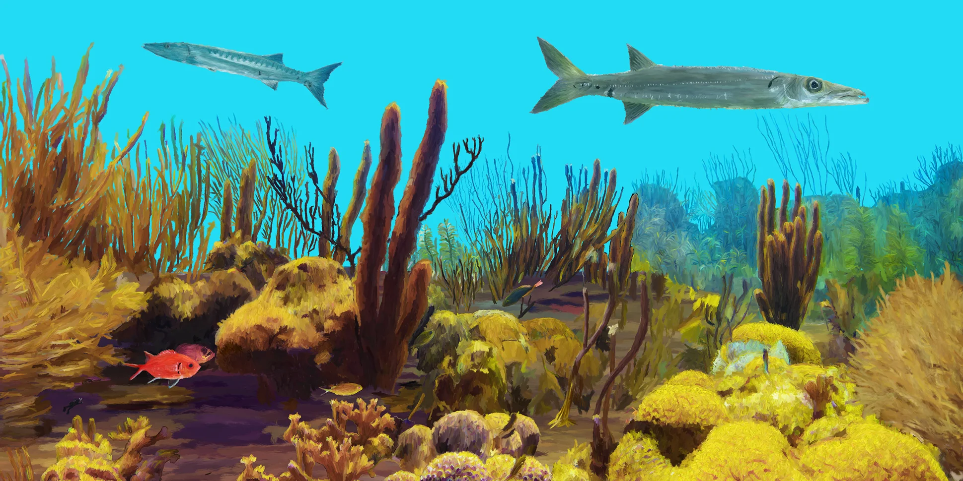 Reefscape_Carib_One_ipad copy.jpg