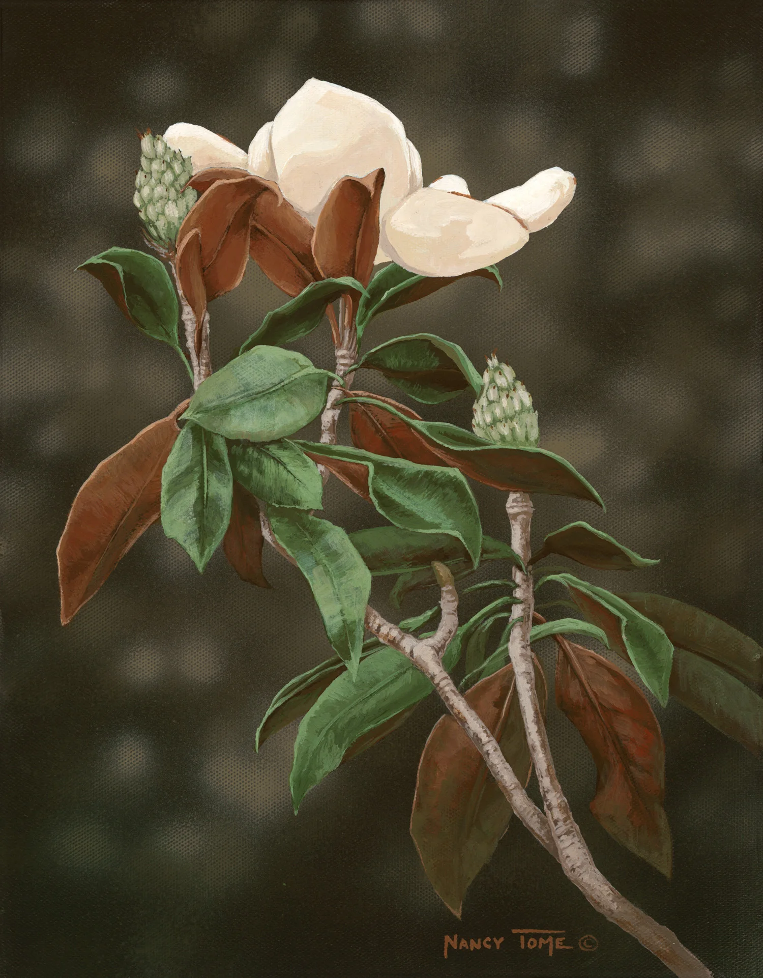 Flower.jpg