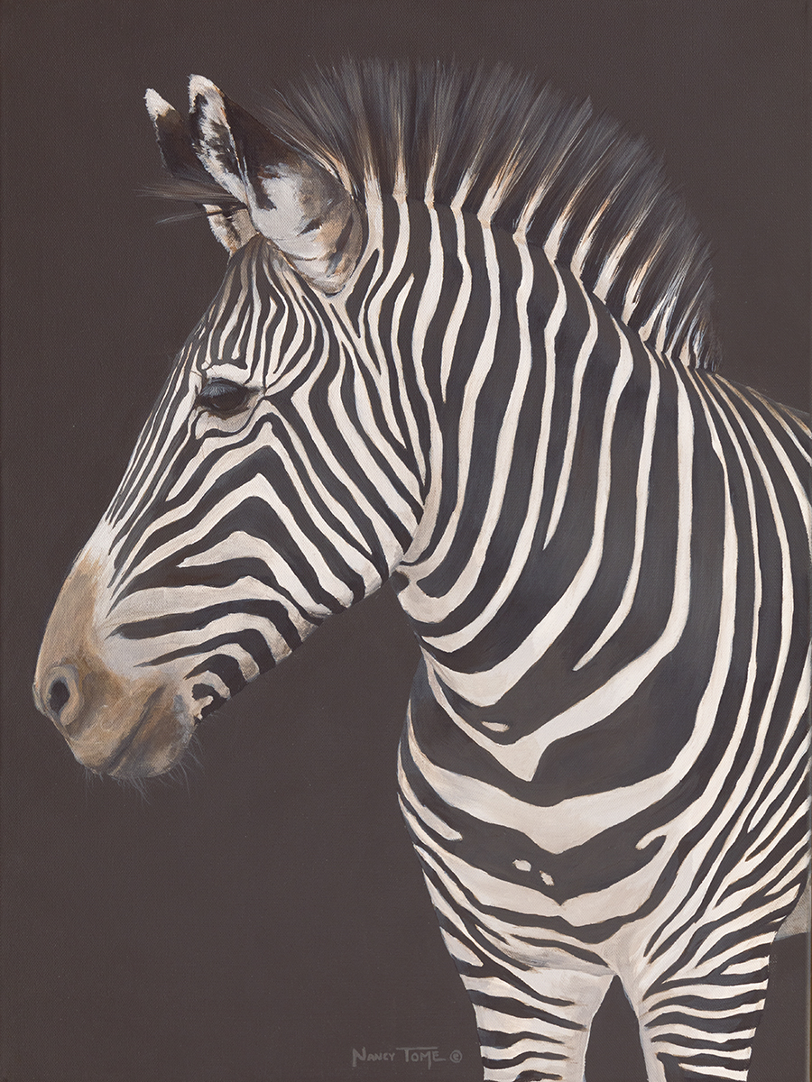 Zebra 3 web.jpg