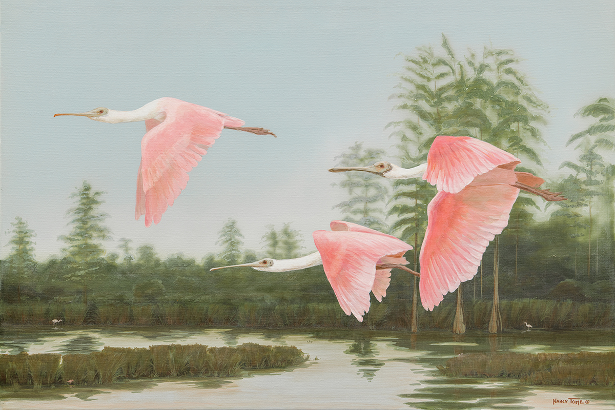 Roseates Flying for web.jpg