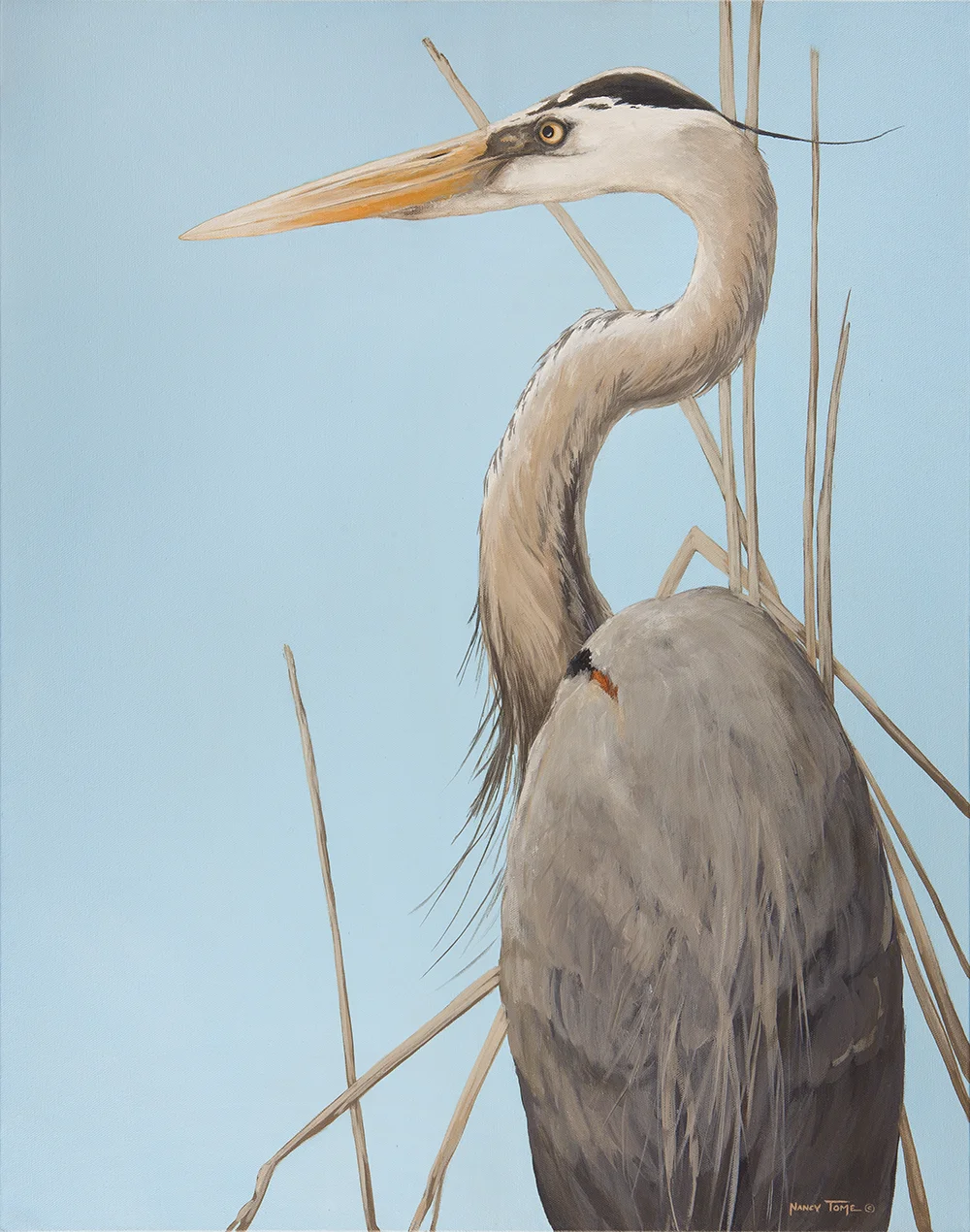 Great Blue_22x28_Web.jpg