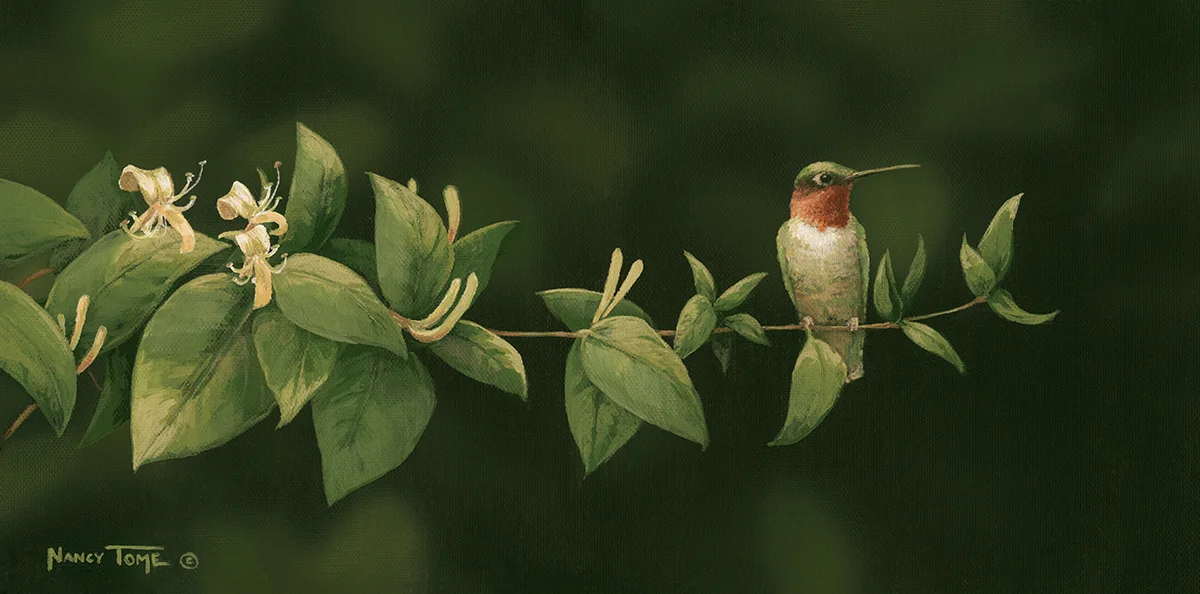 Honeysuckle Guardian.jpg