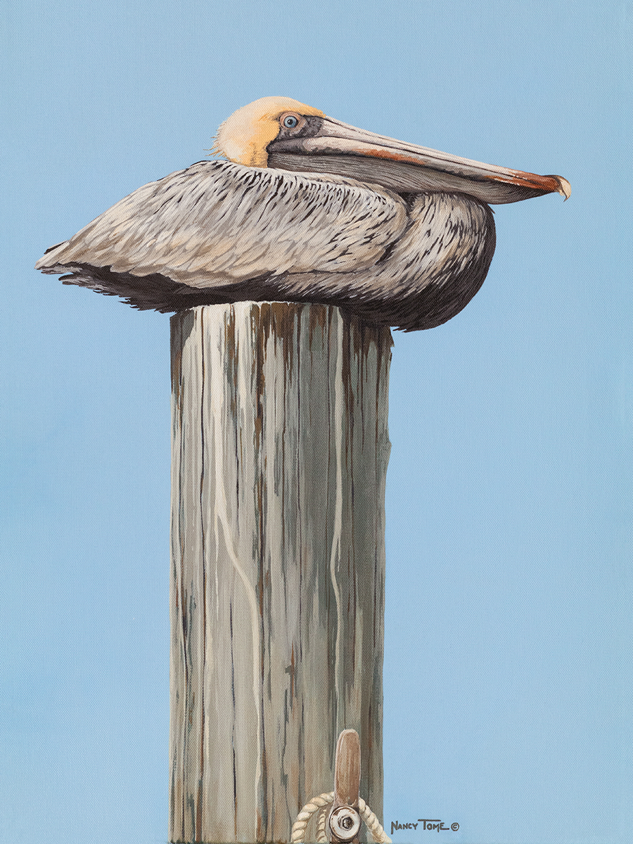 Dockside View.jpg