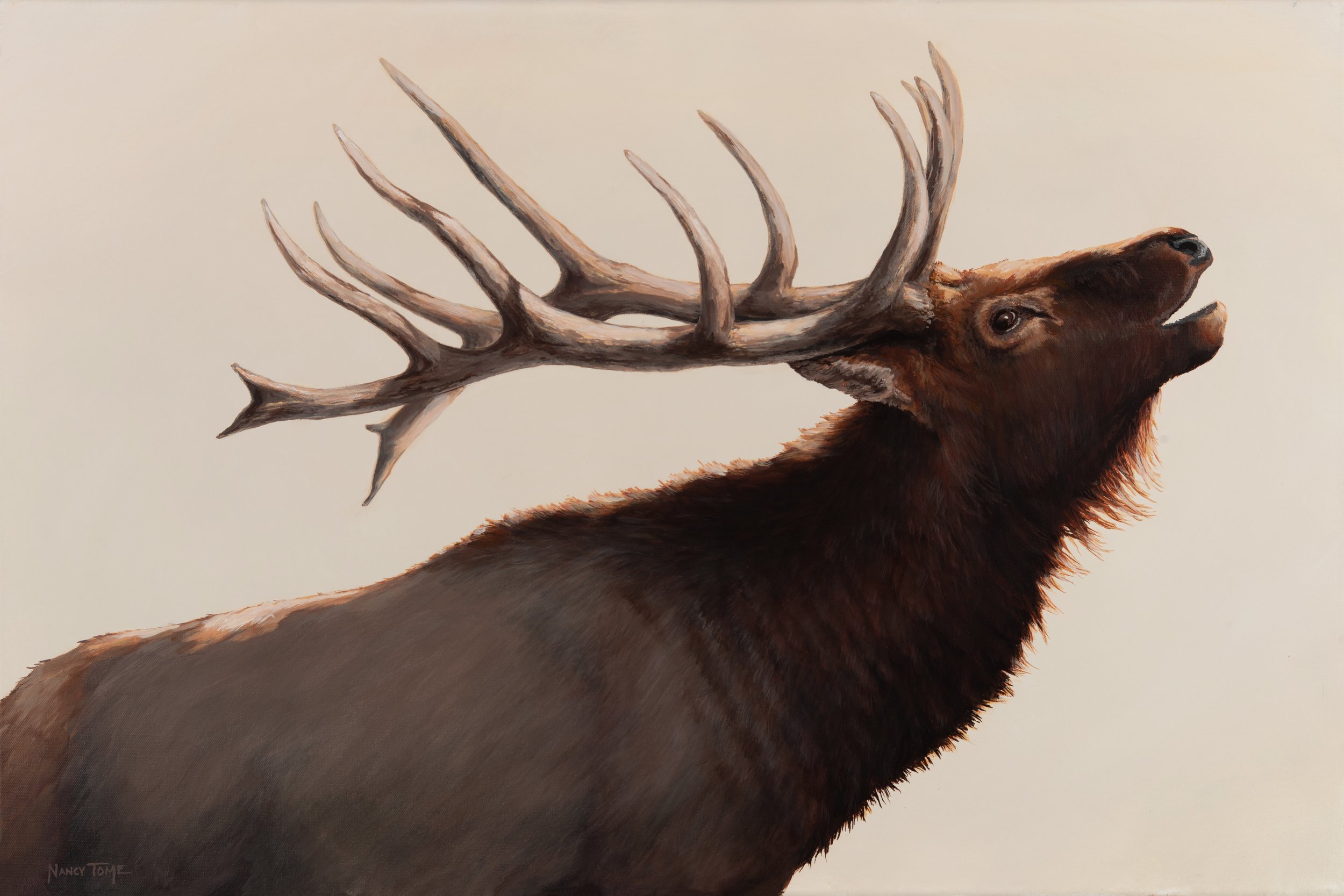 King of the Mountain b.jpg