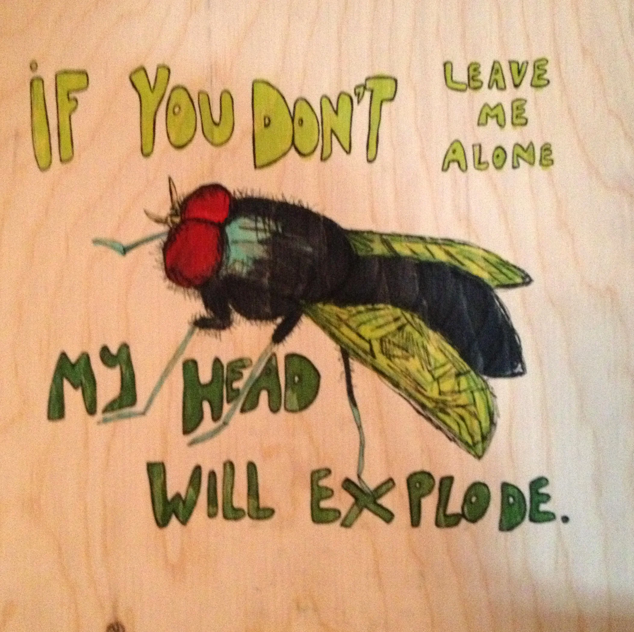Fly