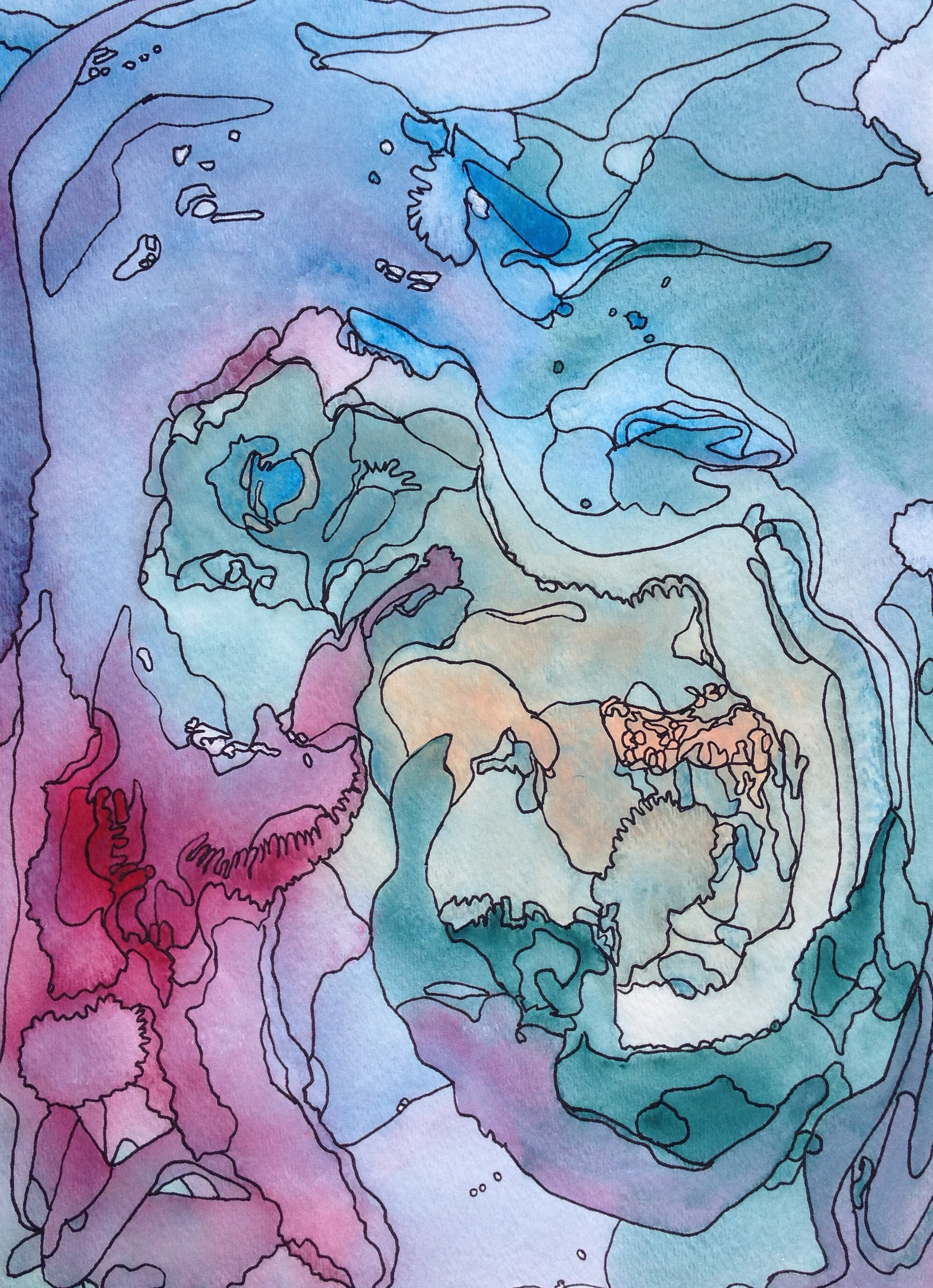 Amoeba