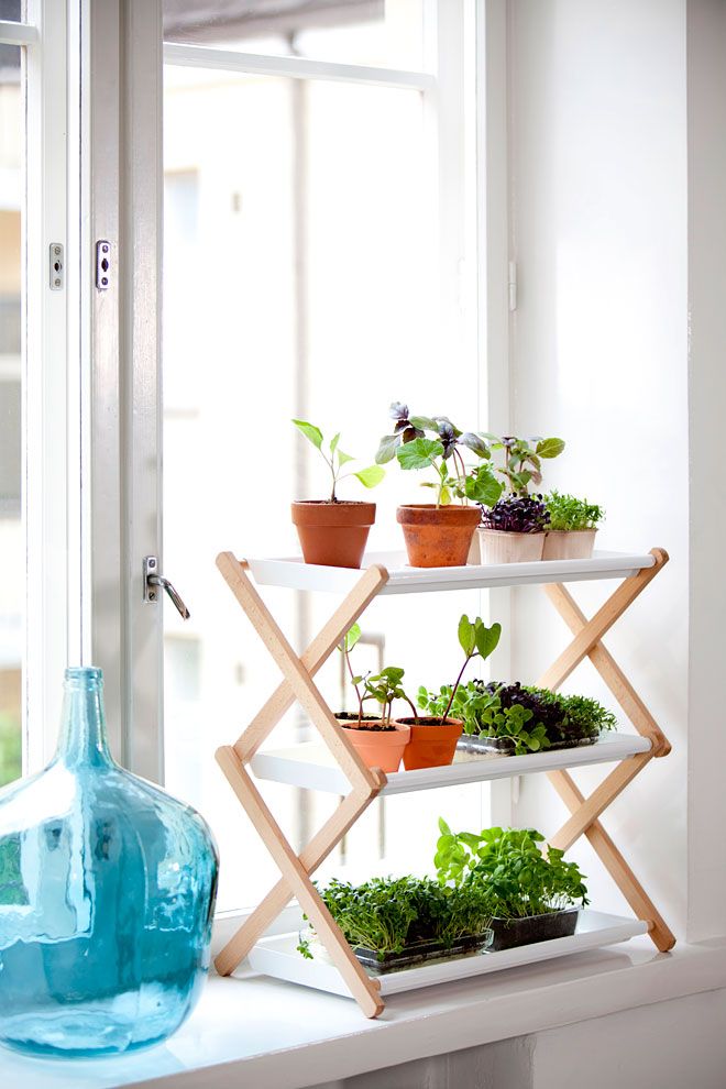Source: visit http://www.missmoss.co.za/2013/05/02/kekkila/ for more ideas on how to grow herbs and plants in a small indoor space