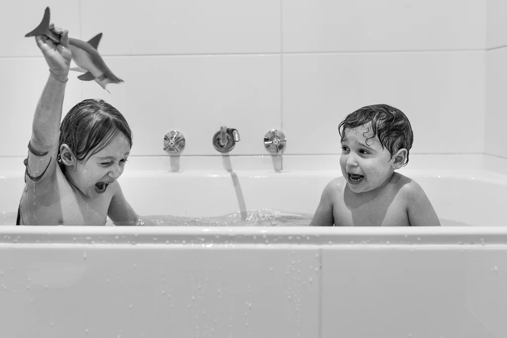 toy shark in bath tub