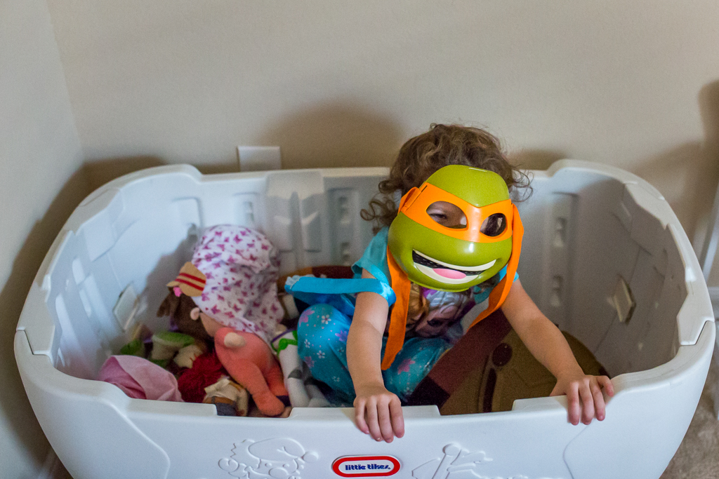 ninja turtle in toy box