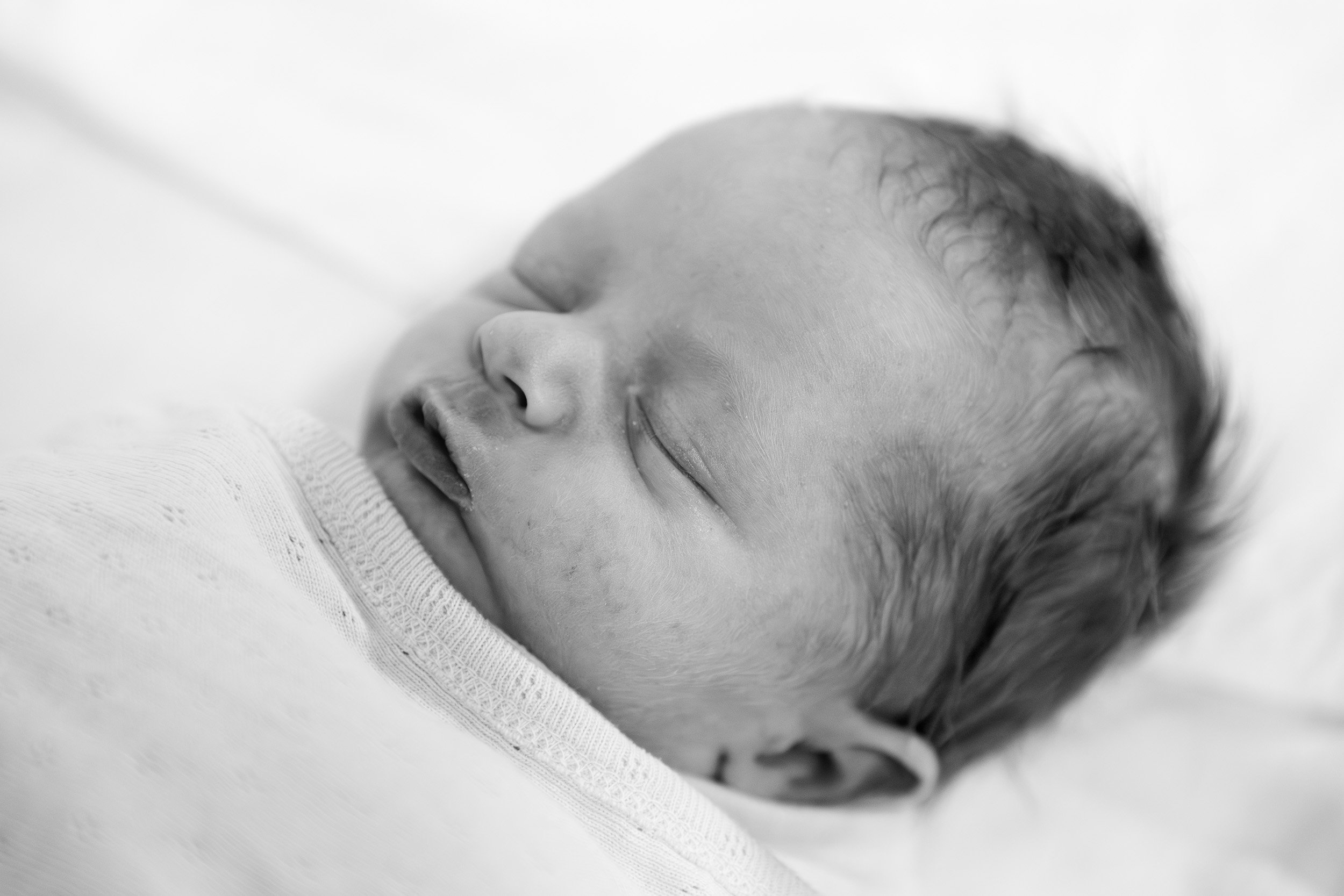  newborn photograph black and white 