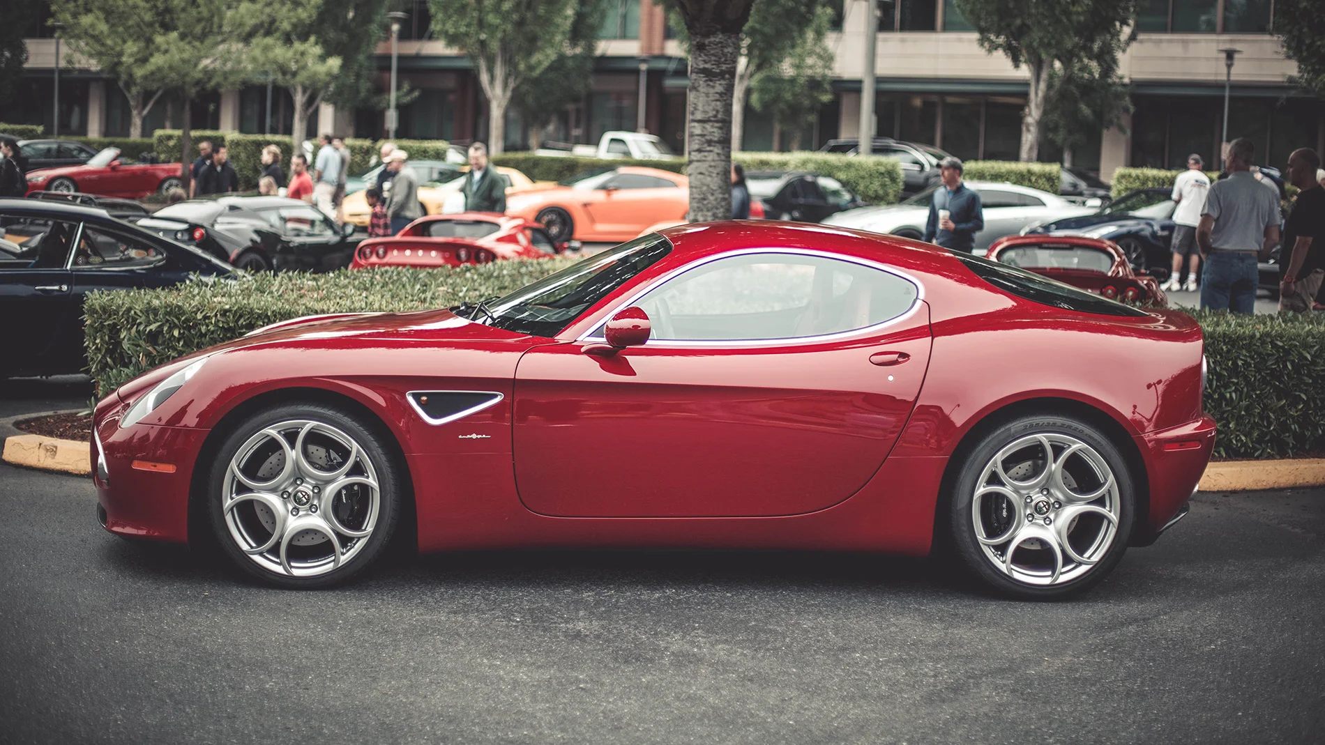 alfa side.jpg