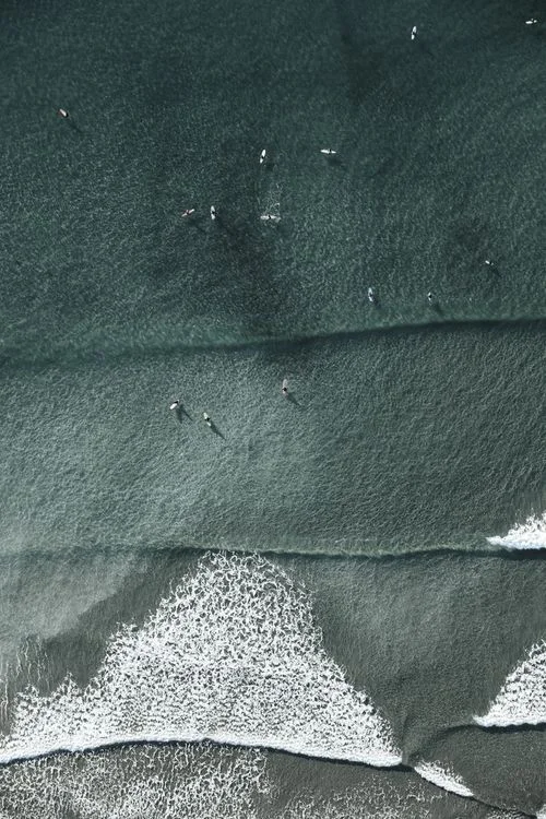 Surf