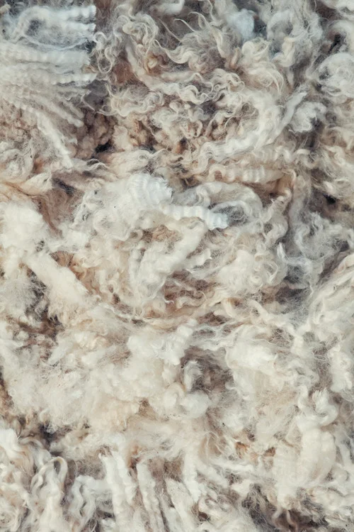 Wool, Source Unknown