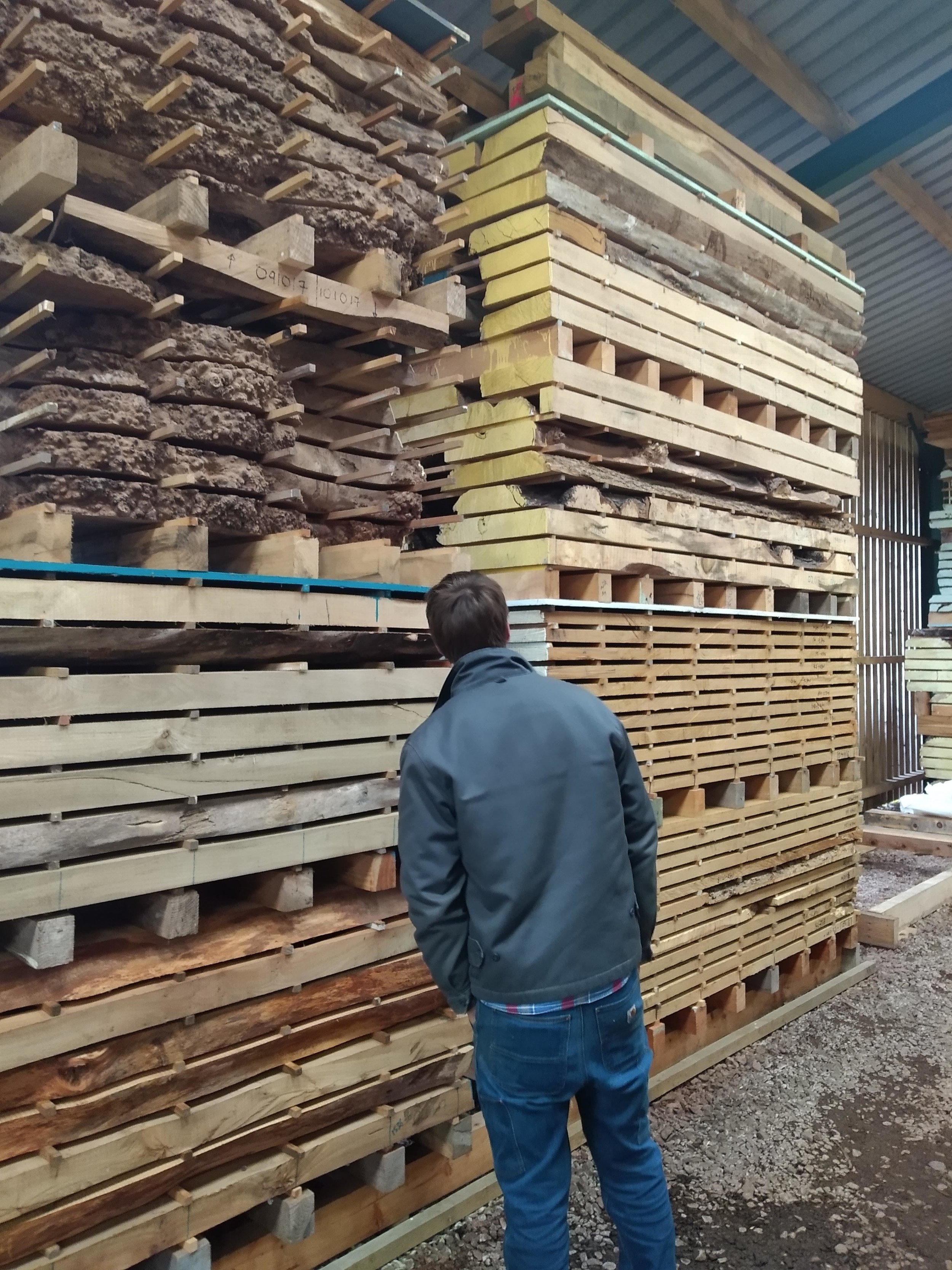 Scottish furniture designer maker Namon Gaston selecting timber for bespoke commission design