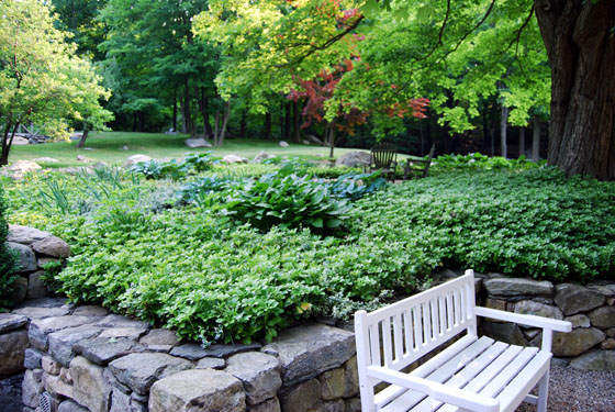 DESIGNER’S GARDEN - Shade Garden