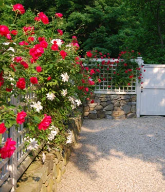 DESIGNER’S GARDEN - Parking Court